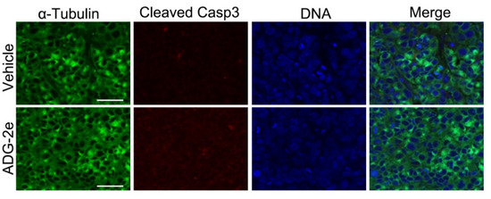 Amphipathic Small Molecule AZT Compound Displays Potent Inhibitory ...