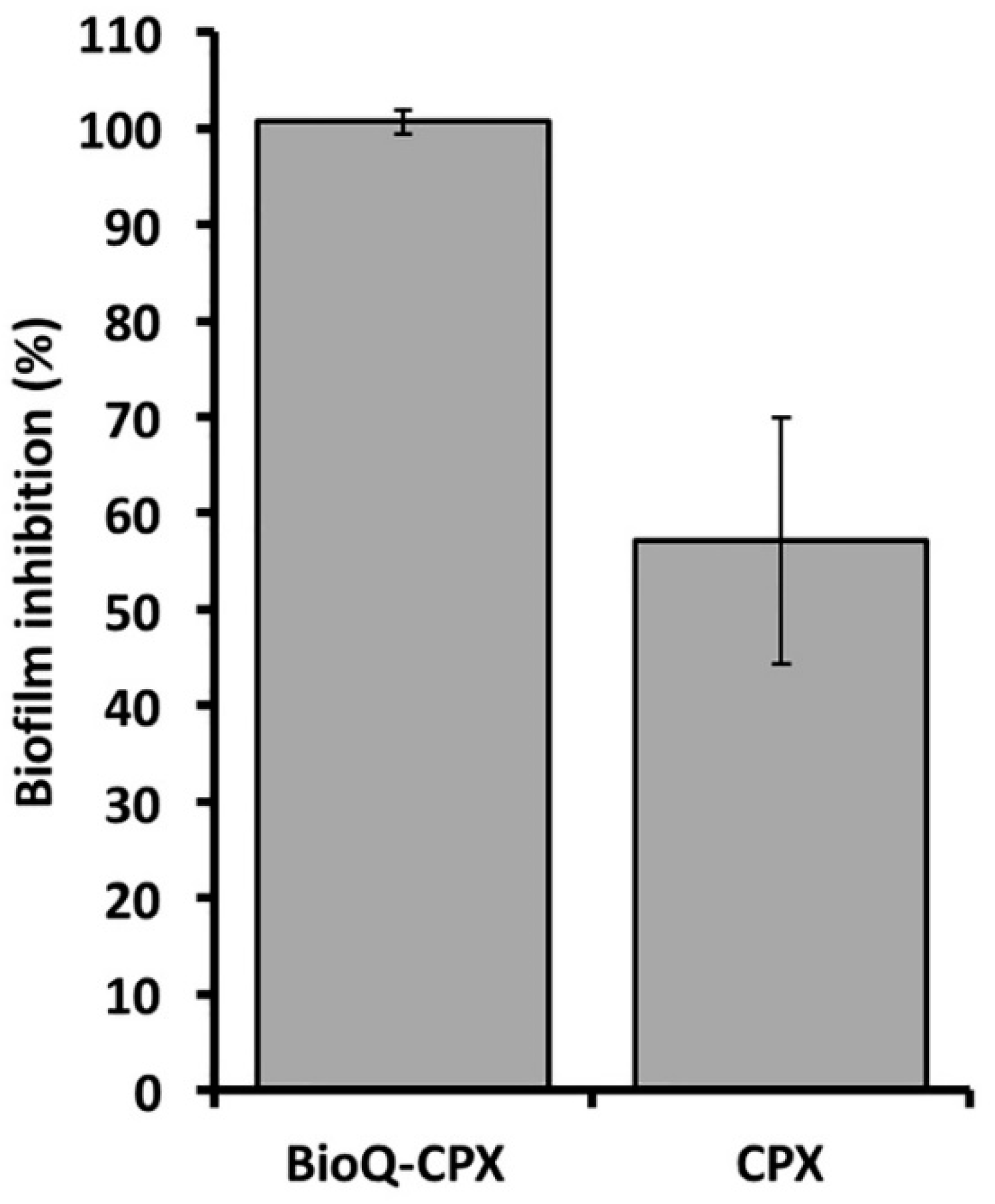 Pharmaceutics 13 02072 g013