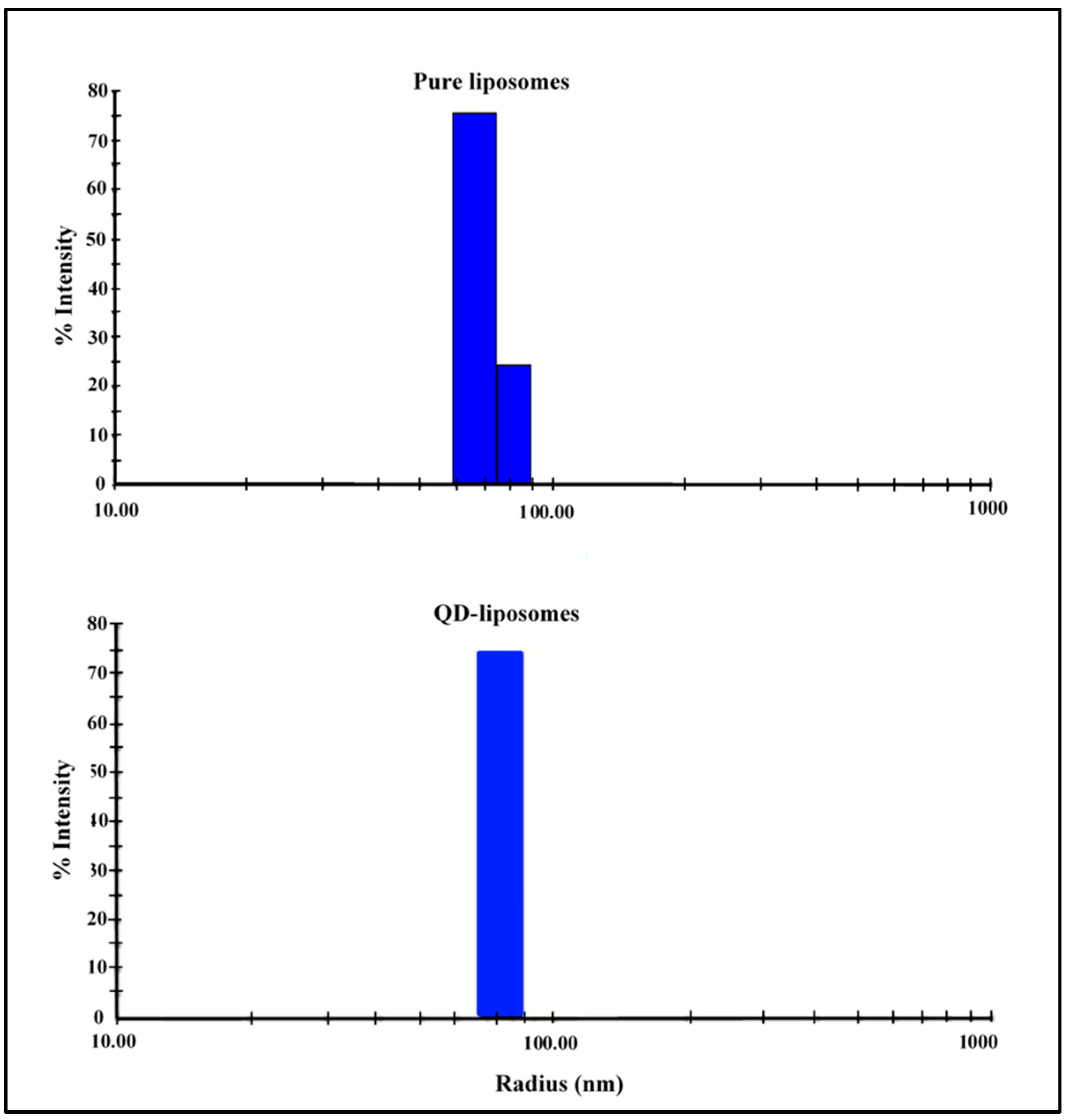 Pharmaceutics 13 02073 g002