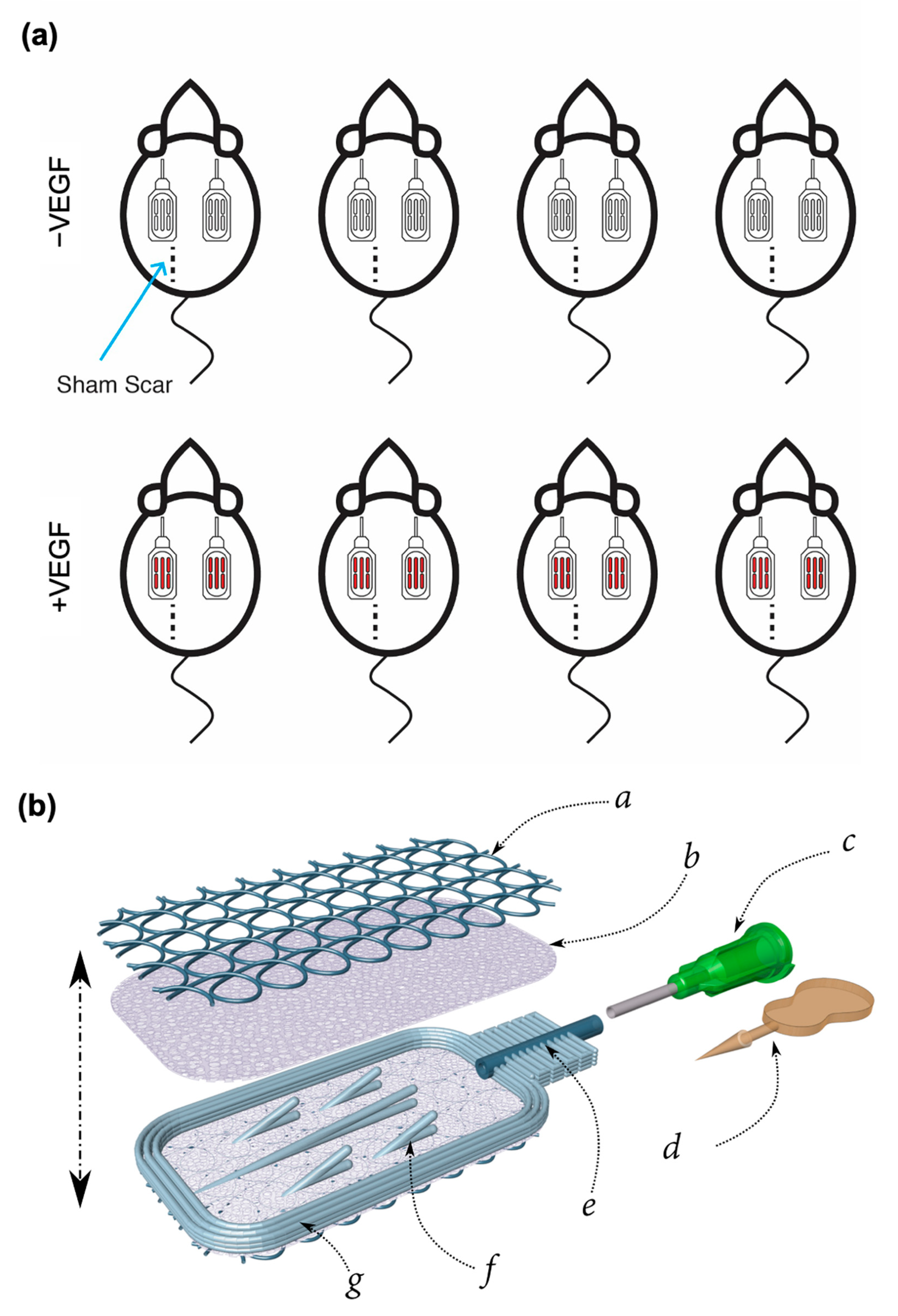 Pharmaceutics 13 02077 g001 550