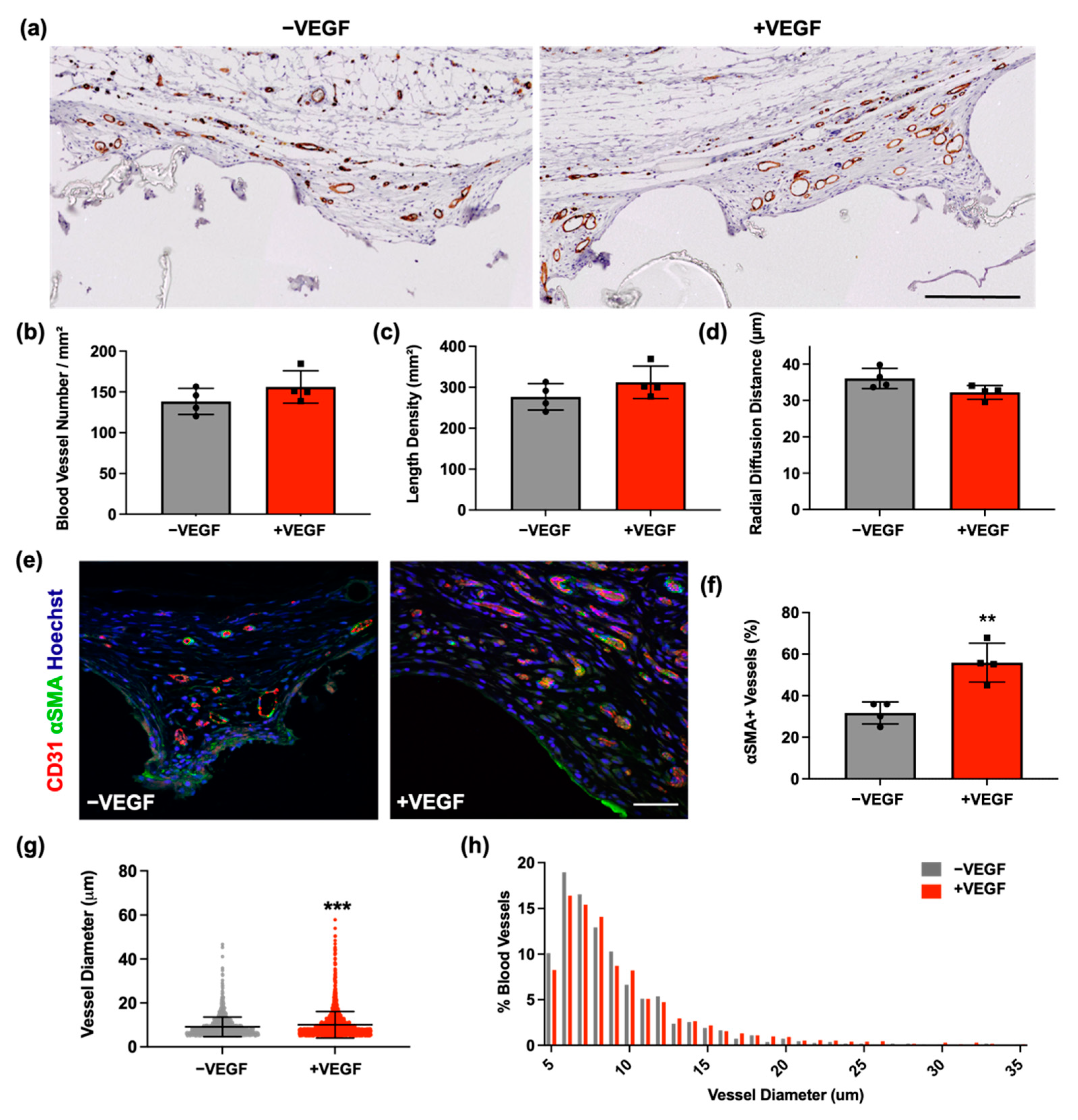 Pharmaceutics 13 02077 g003 550