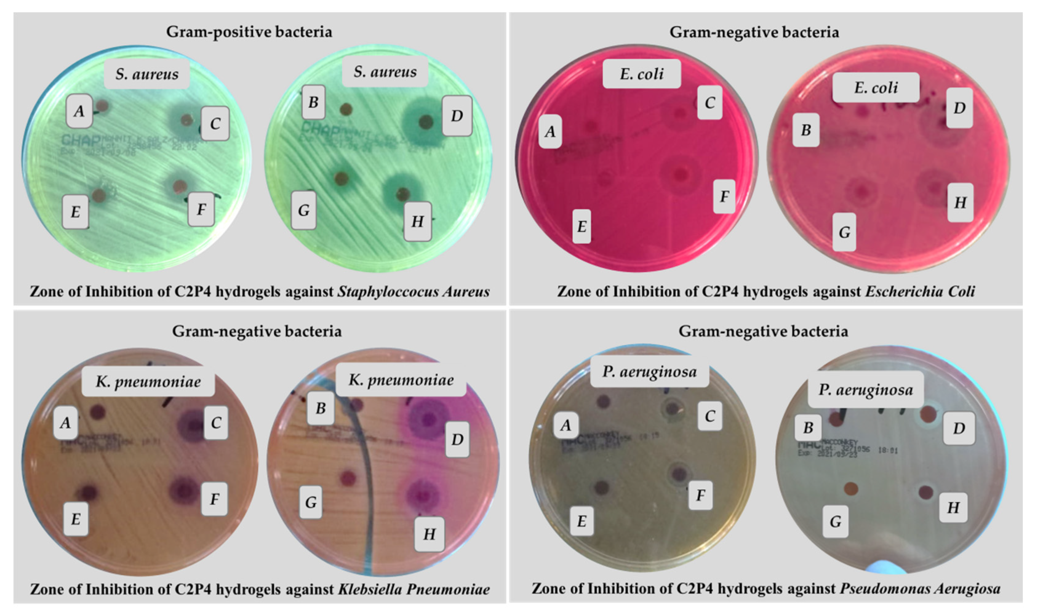 Pharmaceutics 13 02079 g010 550
