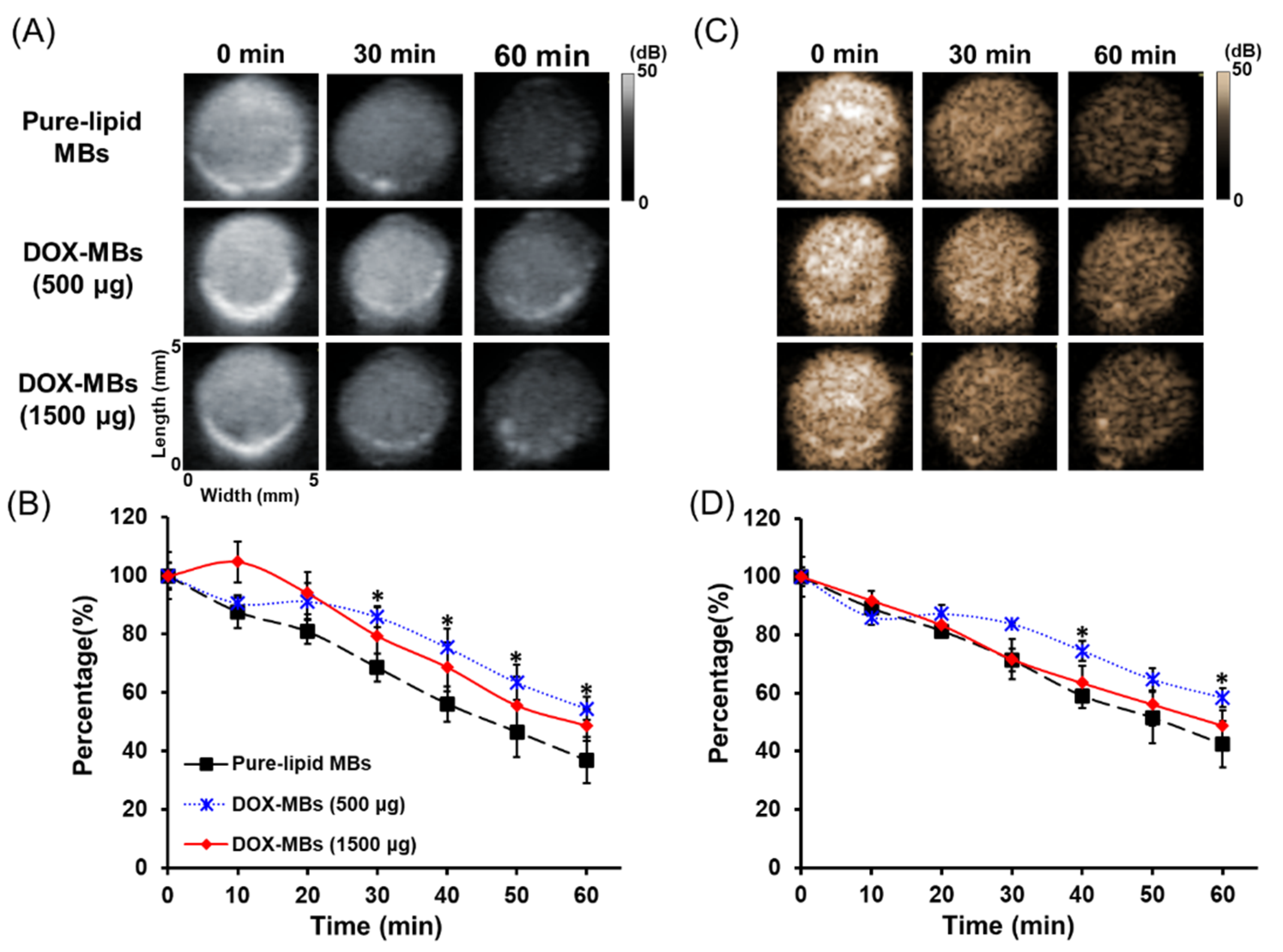 Pharmaceutics 13 02080 g006 Pharmaceutics 13 02080 g006