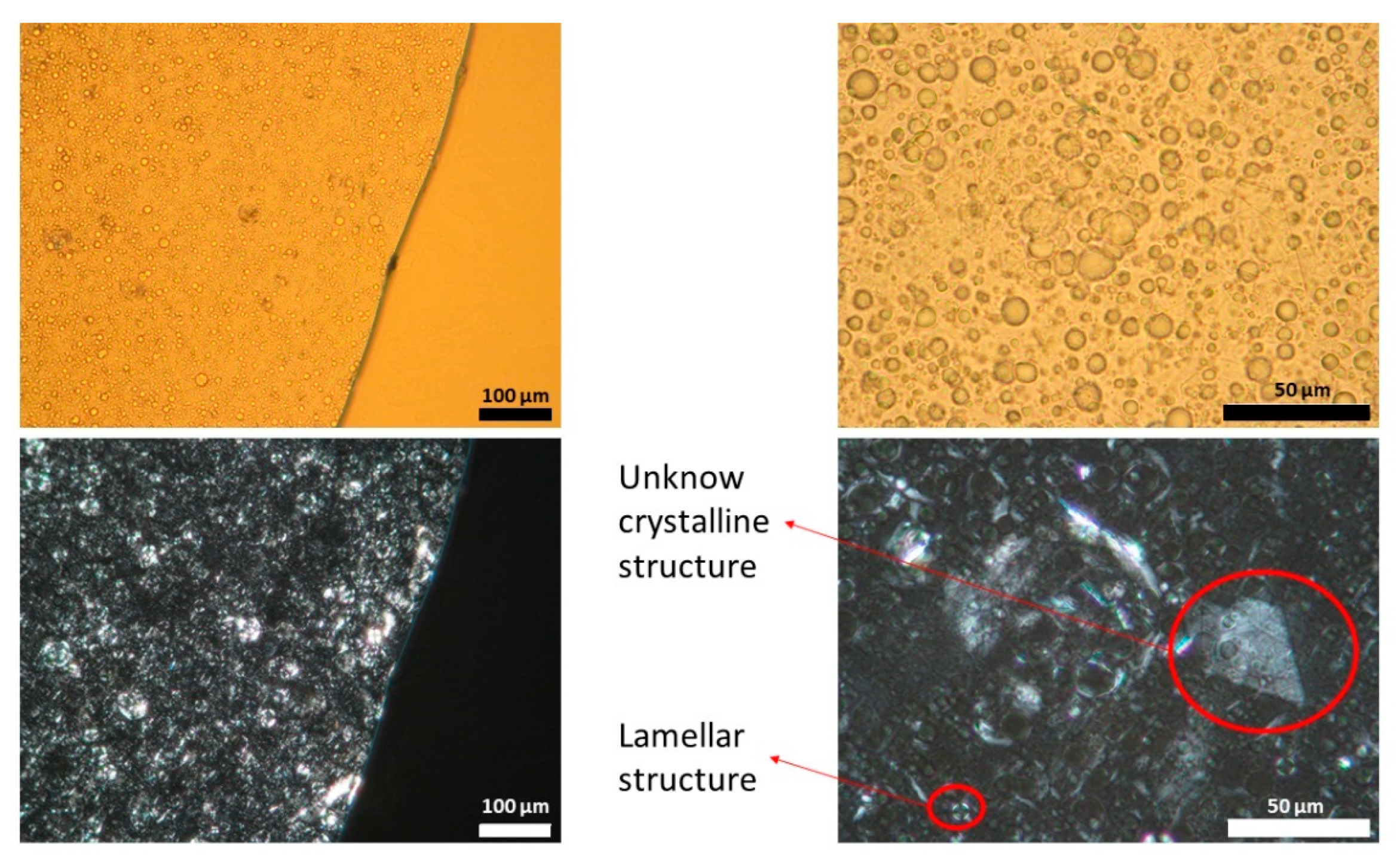 Pharmaceutics 13 02083 g001