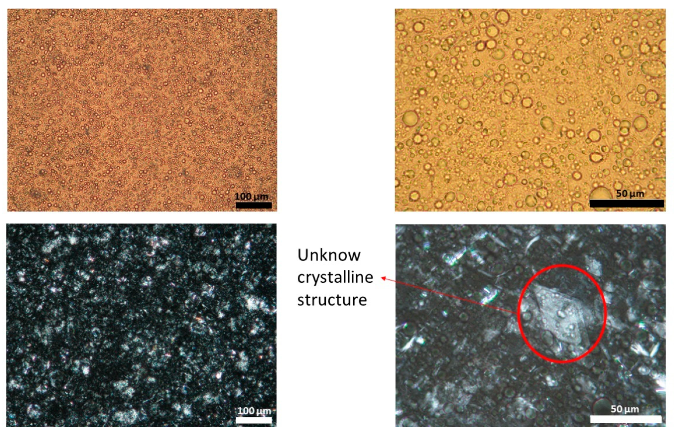 Pharmaceutics 13 02083 g003