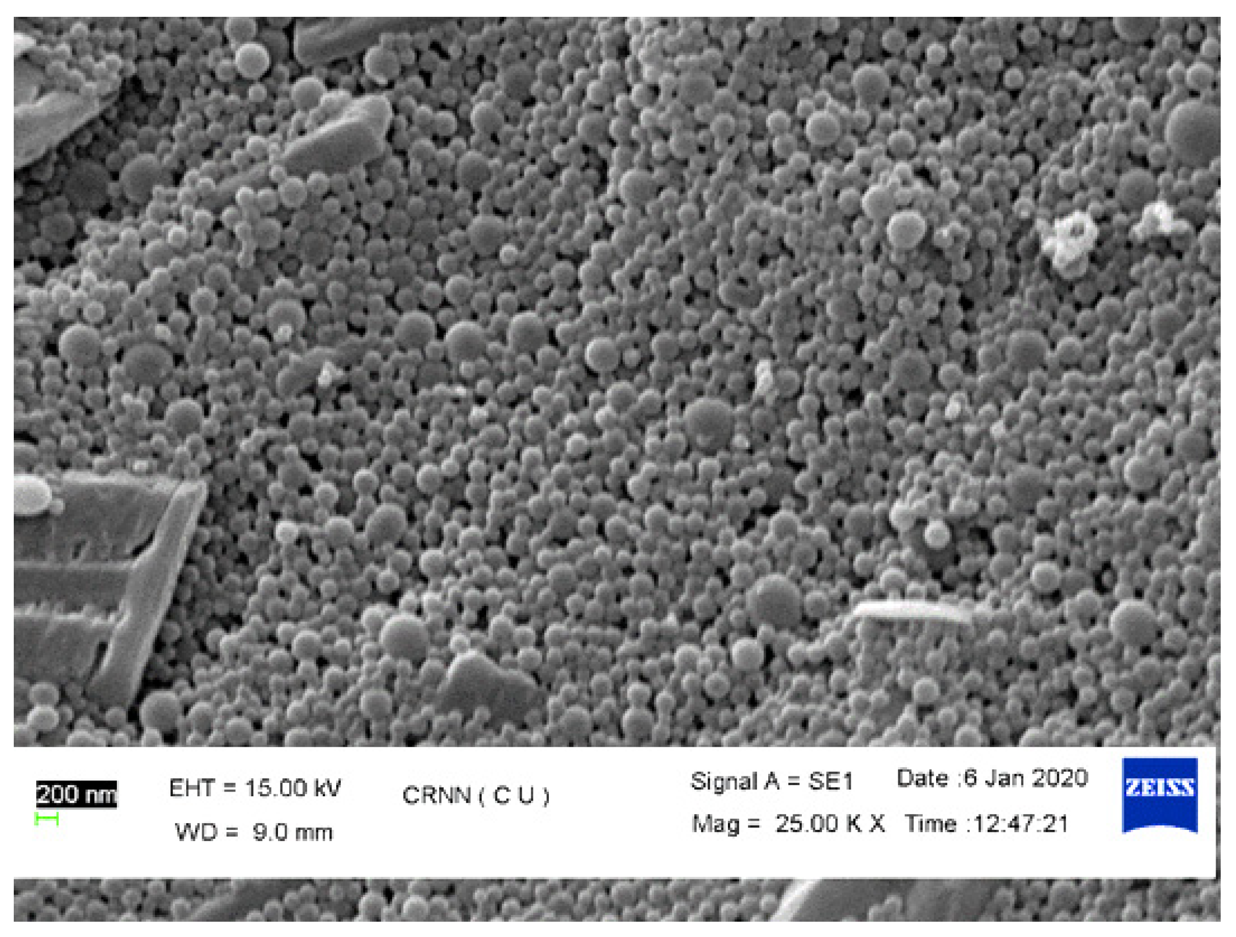 Pharmaceutics 13 02086 g003 550