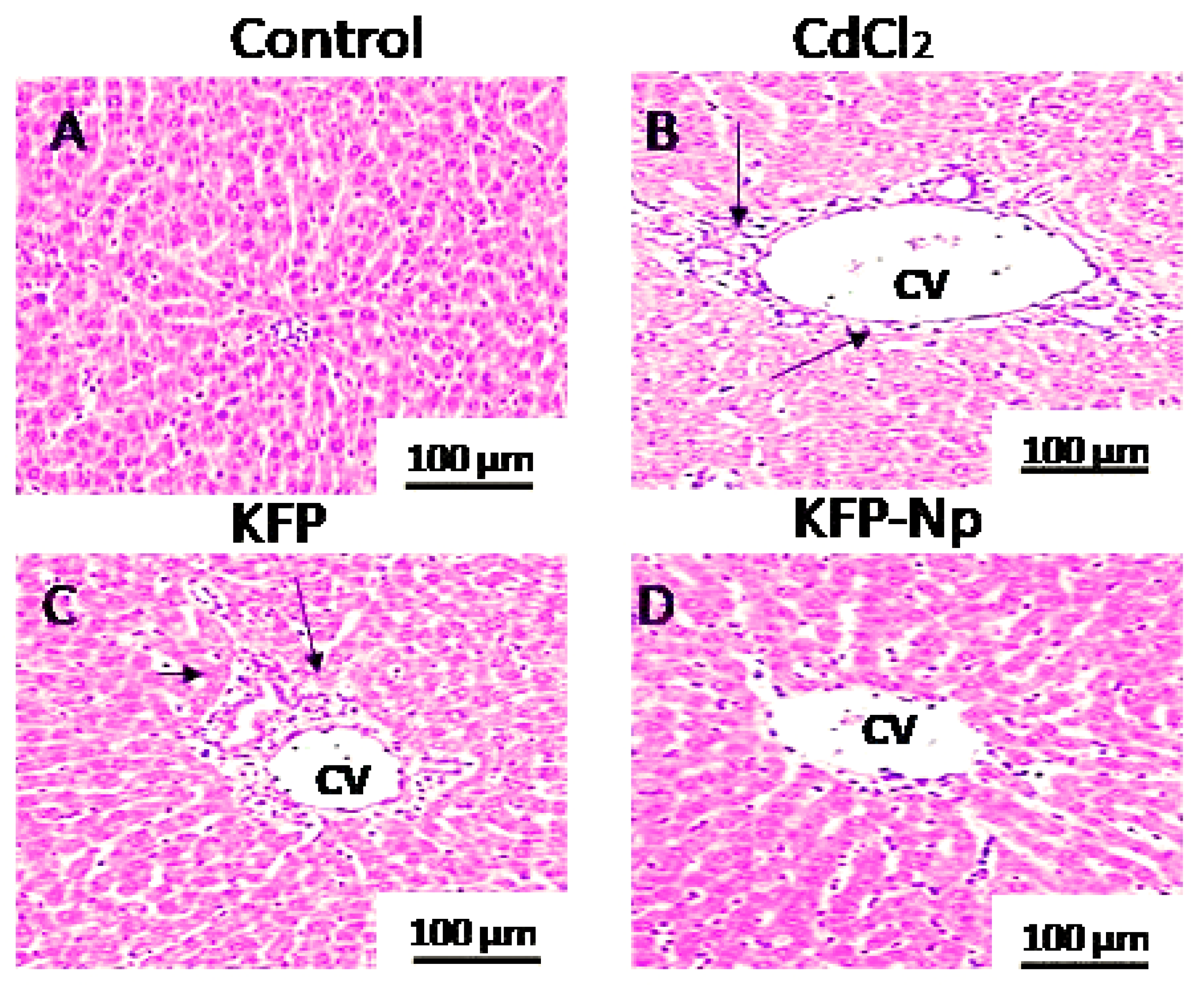 Pharmaceutics 13 02086 g006 550