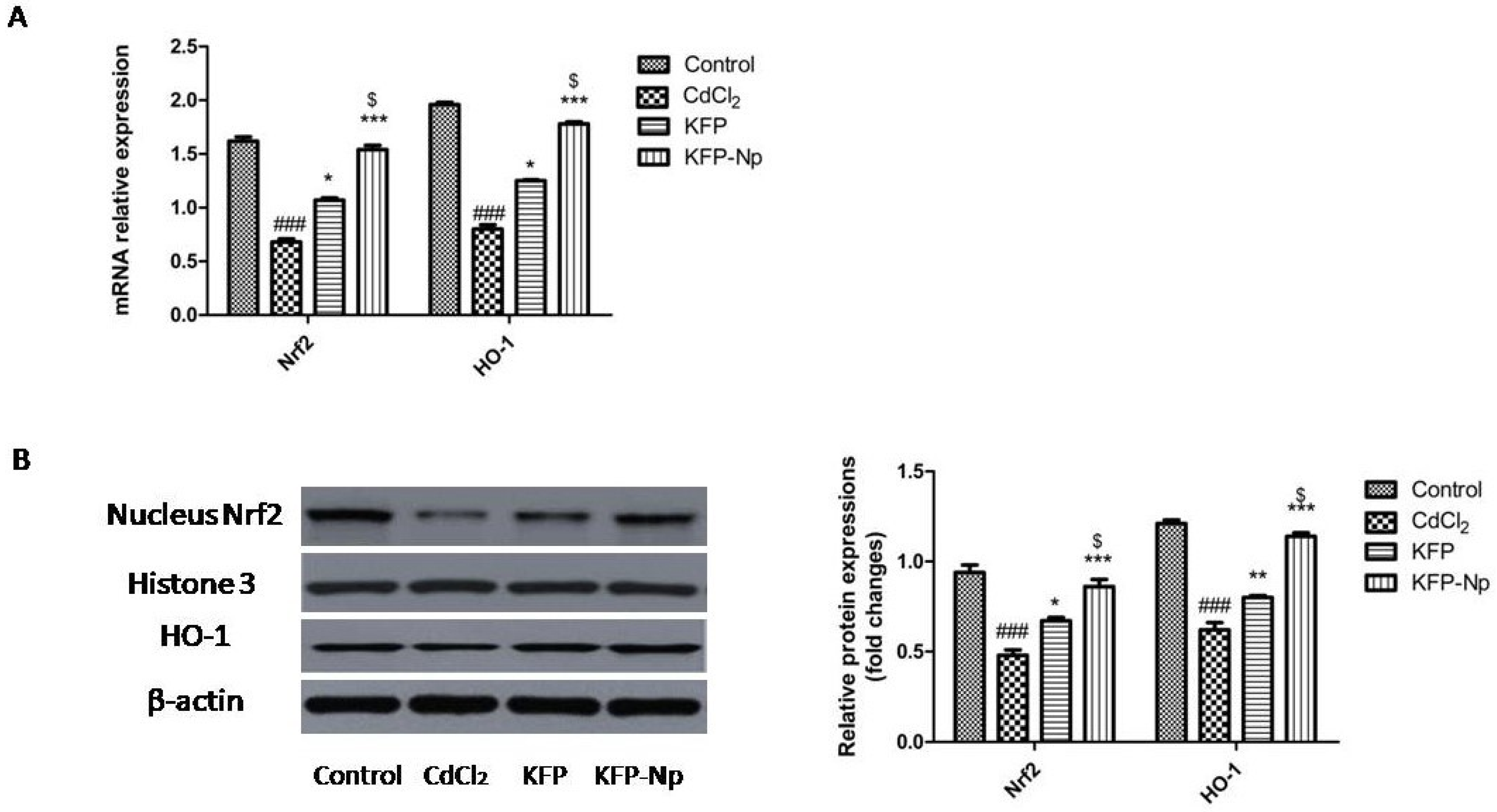 Pharmaceutics 13 02086 g009 550