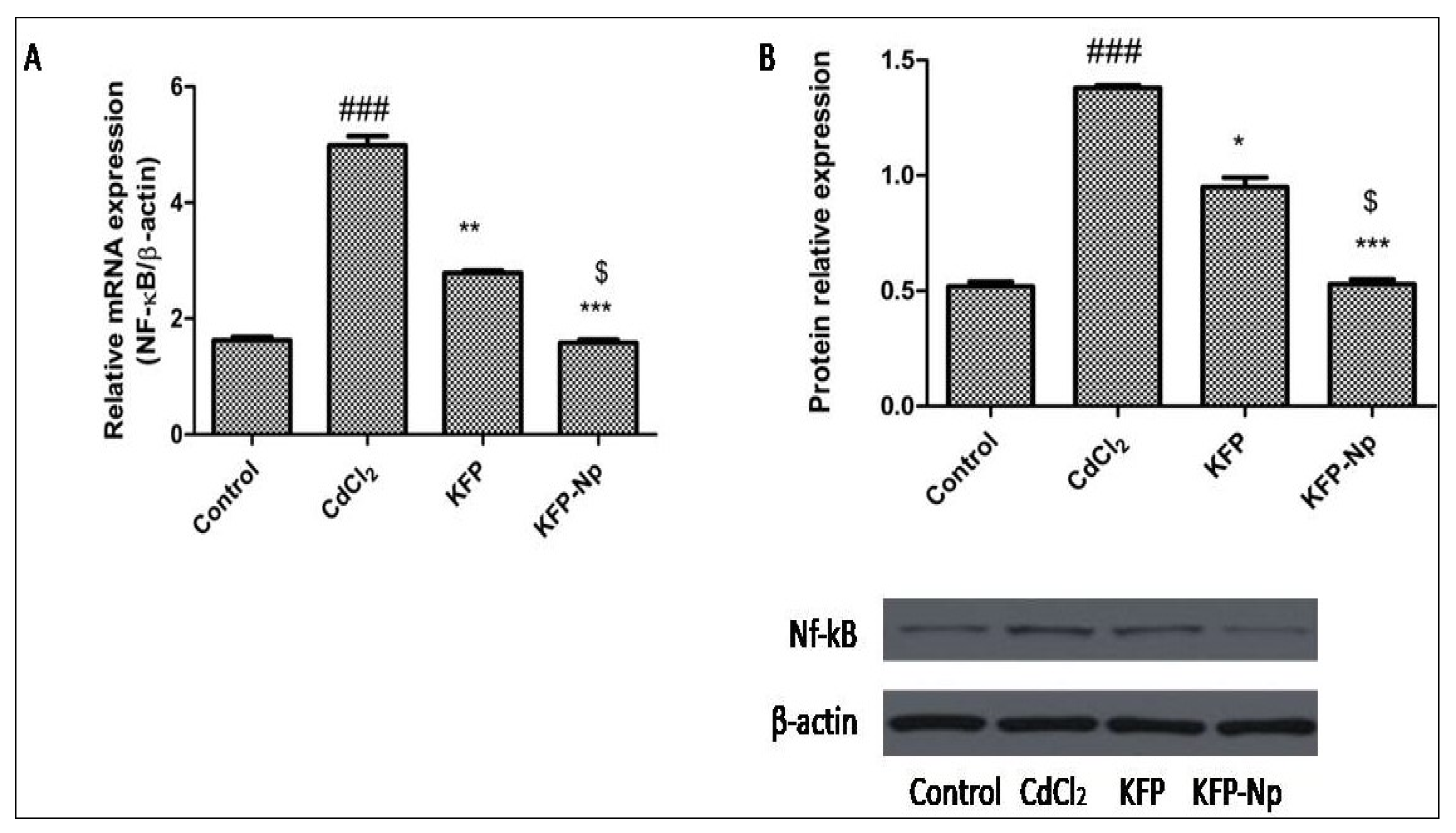 Pharmaceutics 13 02086 g010 550