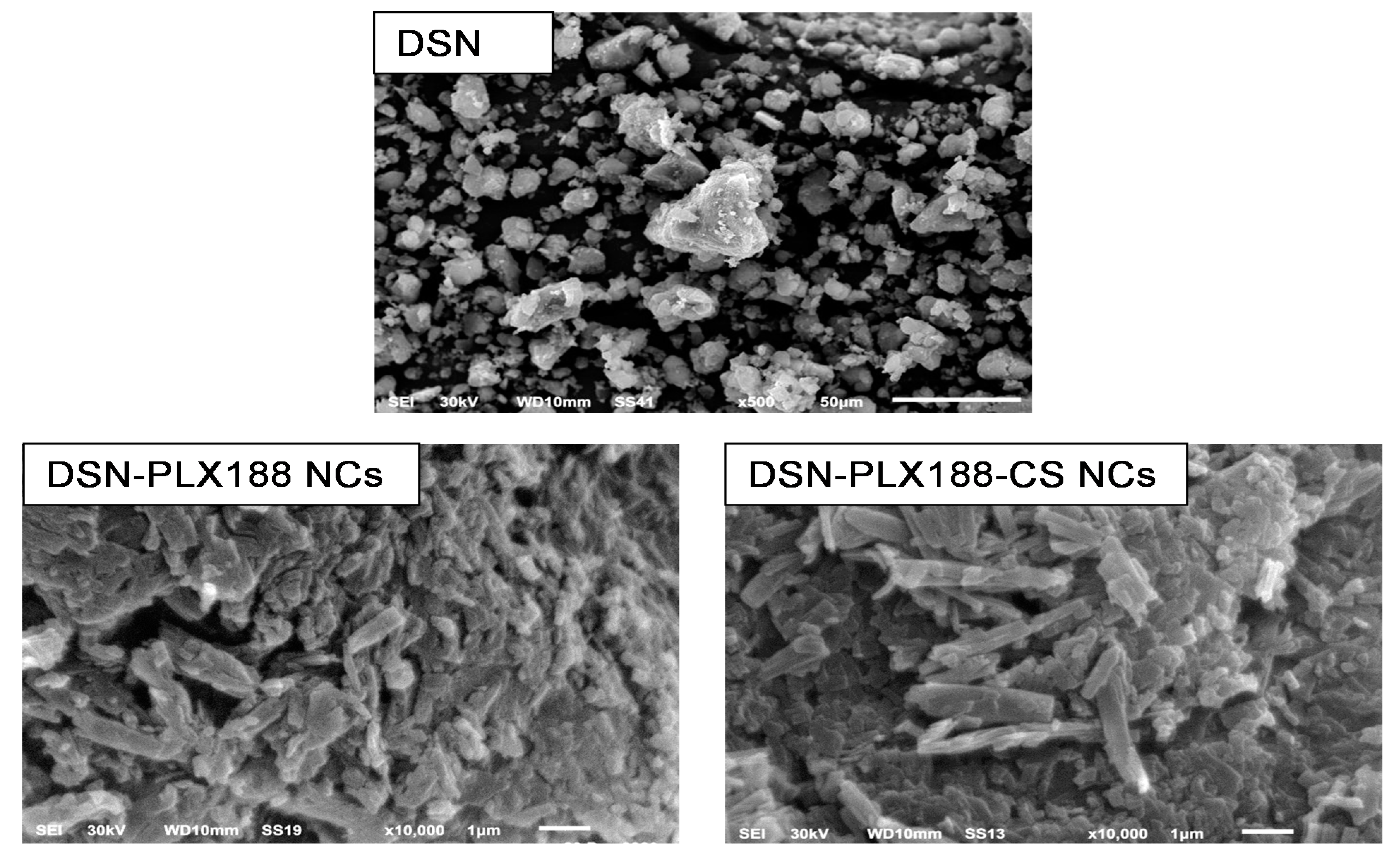 Pharmaceutics 13 02087 g003