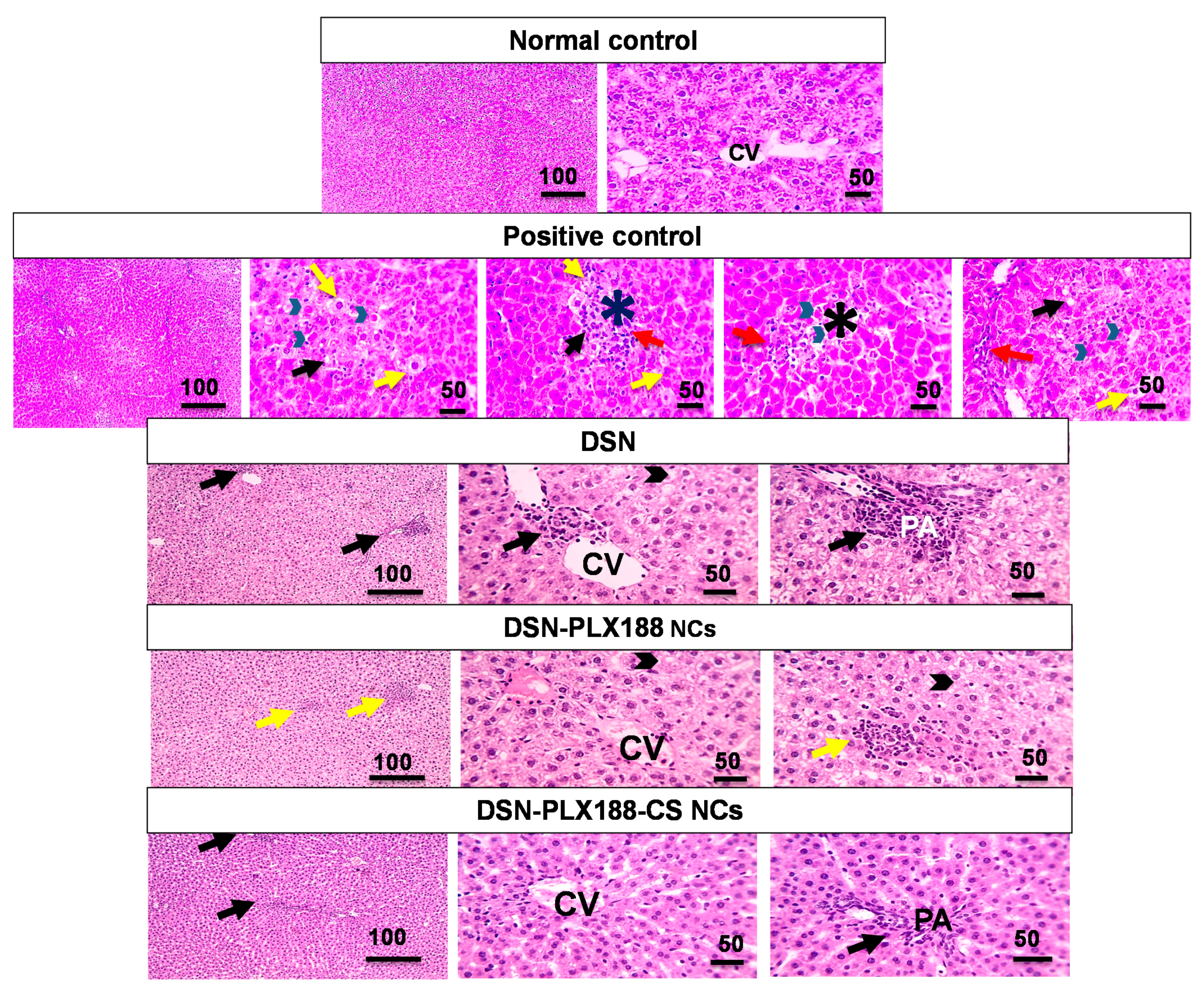 Pharmaceutics 13 02087 g007