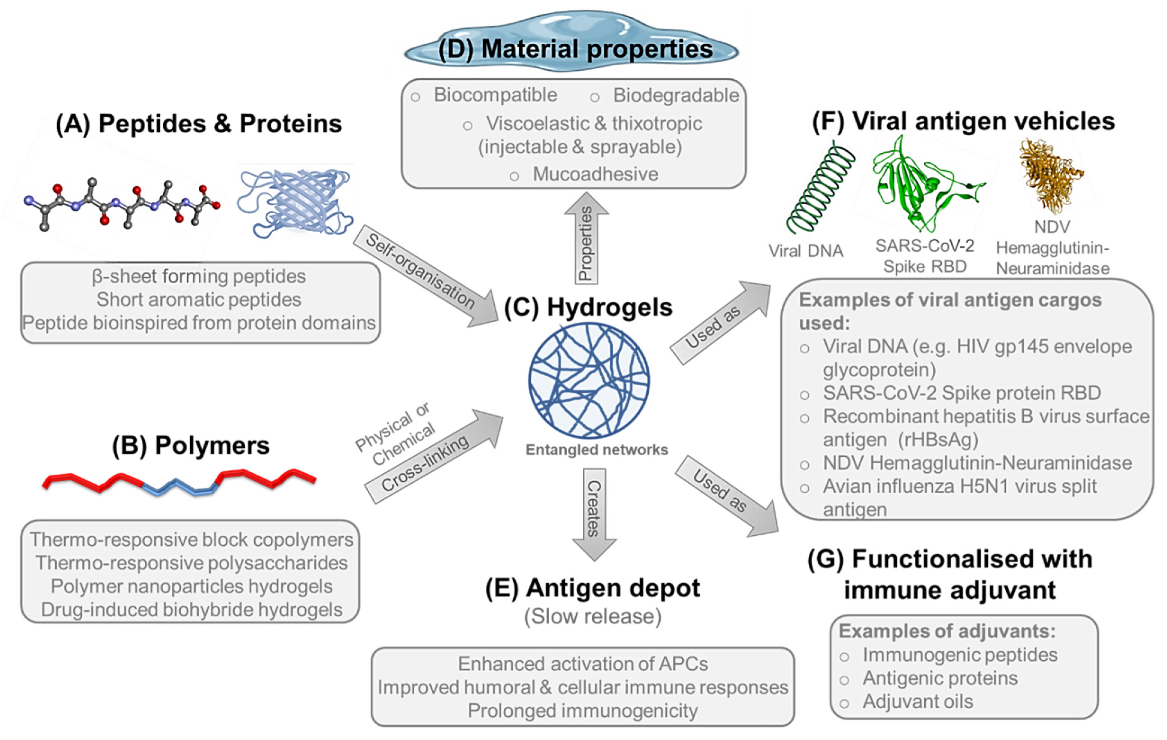 Pharmaceutics 13 02091 g004