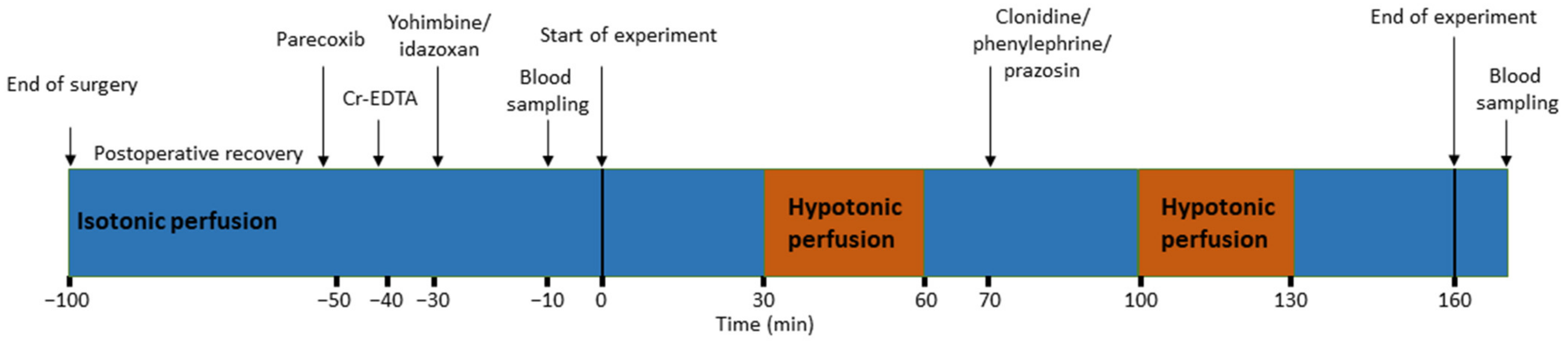 Pharmaceutics 13 02096 g001