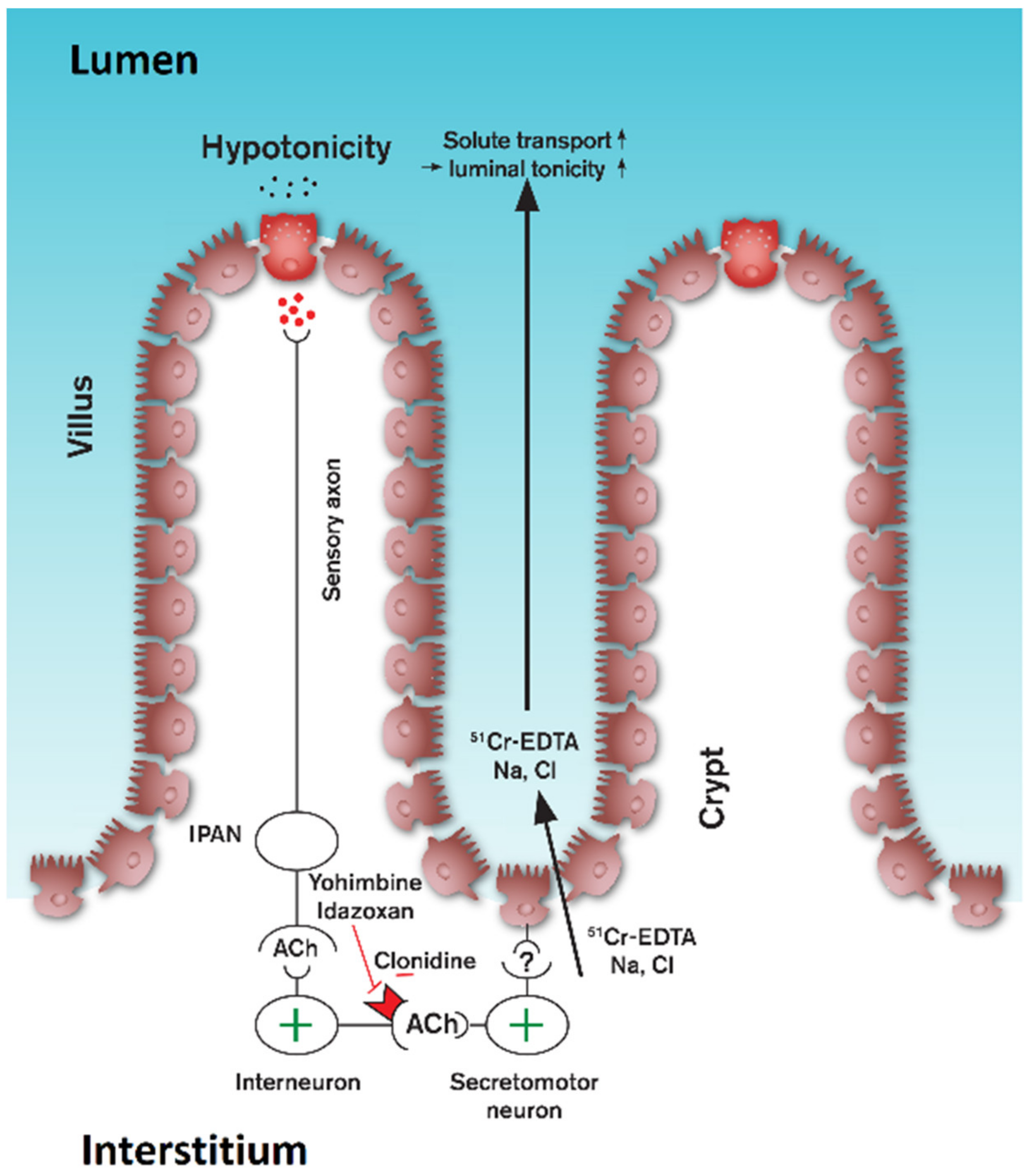 Pharmaceutics 13 02096 g007