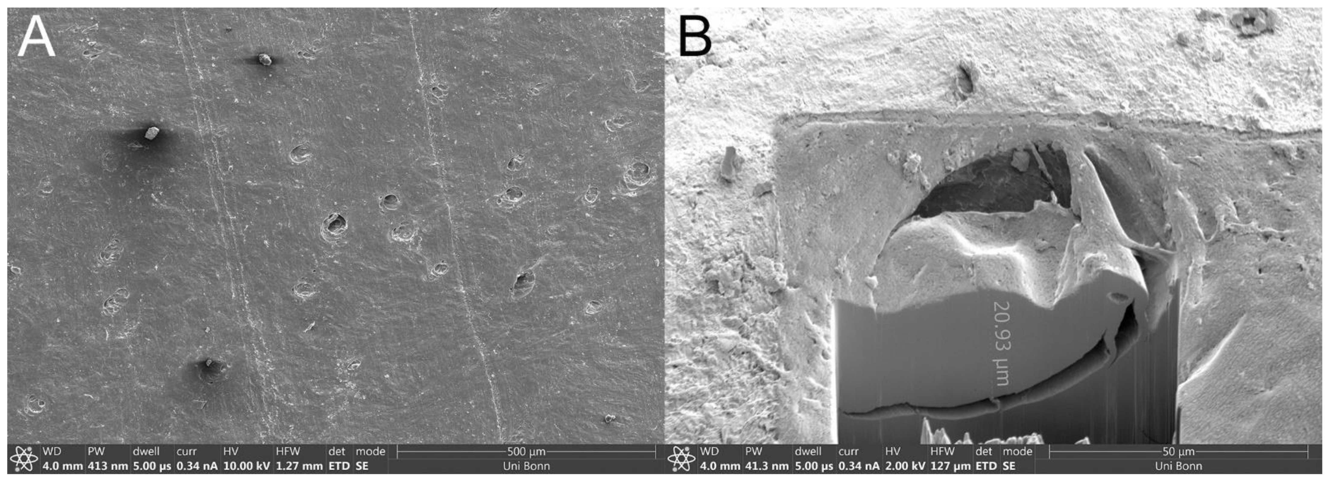 Pharmaceutics 13 02098 g001 550