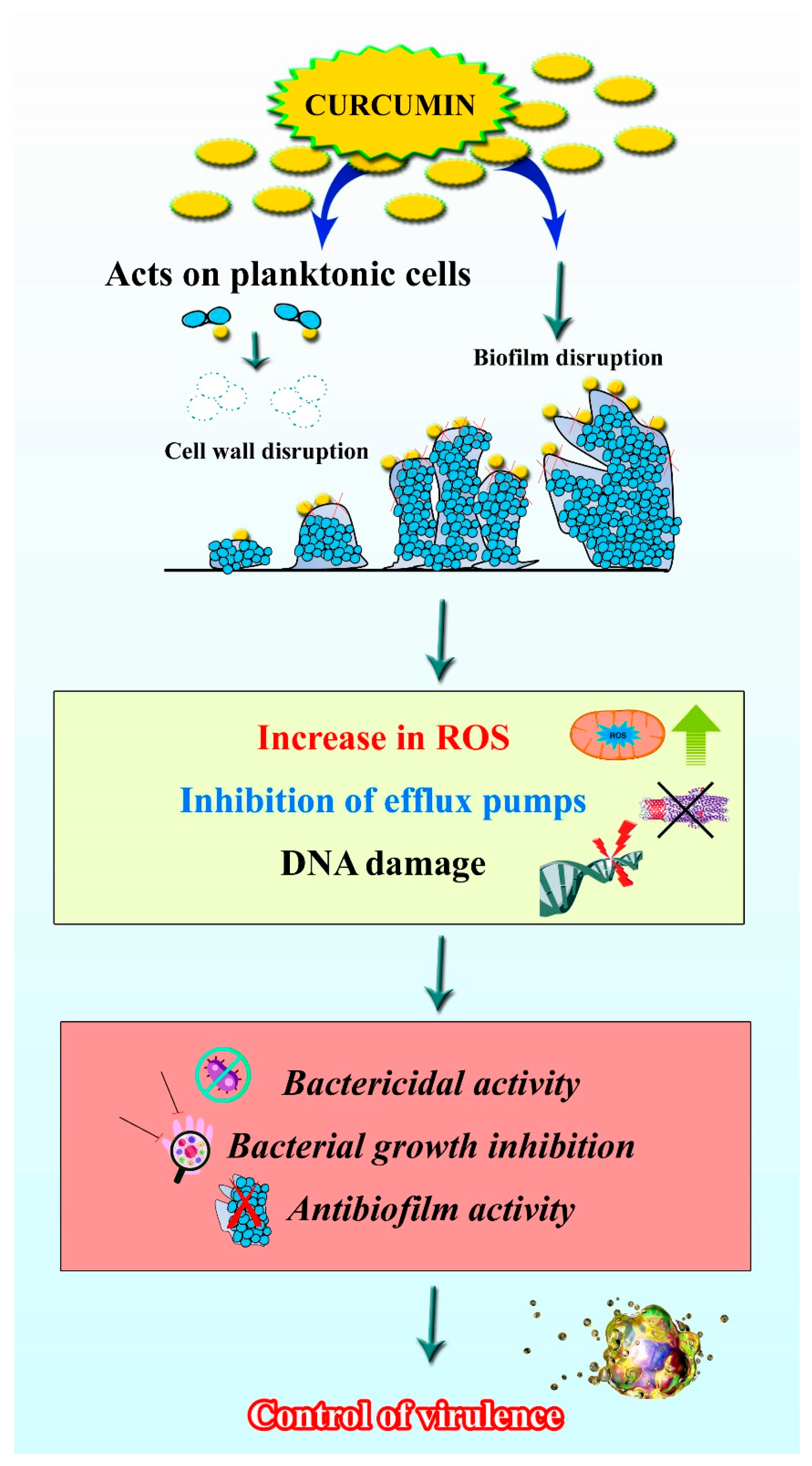 Pharmaceutics 13 02102 g005 Pharmaceutics 13 02102 g005
