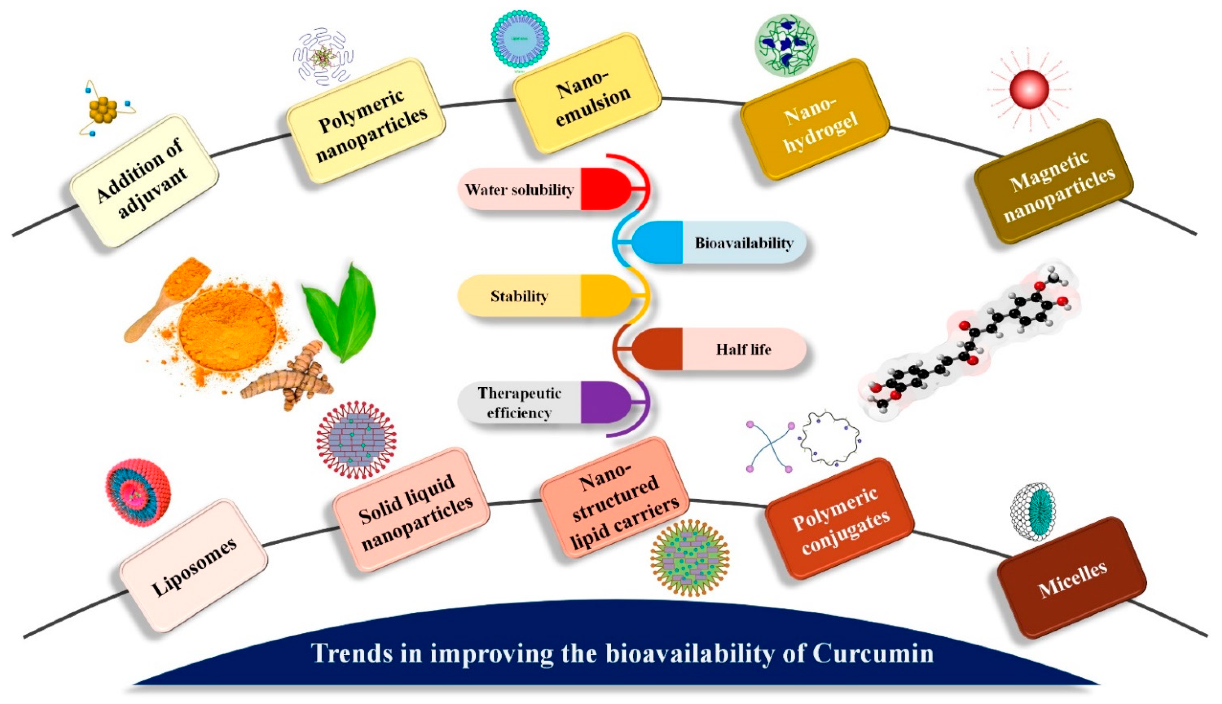 Pharmaceutics 13 02102 g006 Pharmaceutics 13 02102 g006