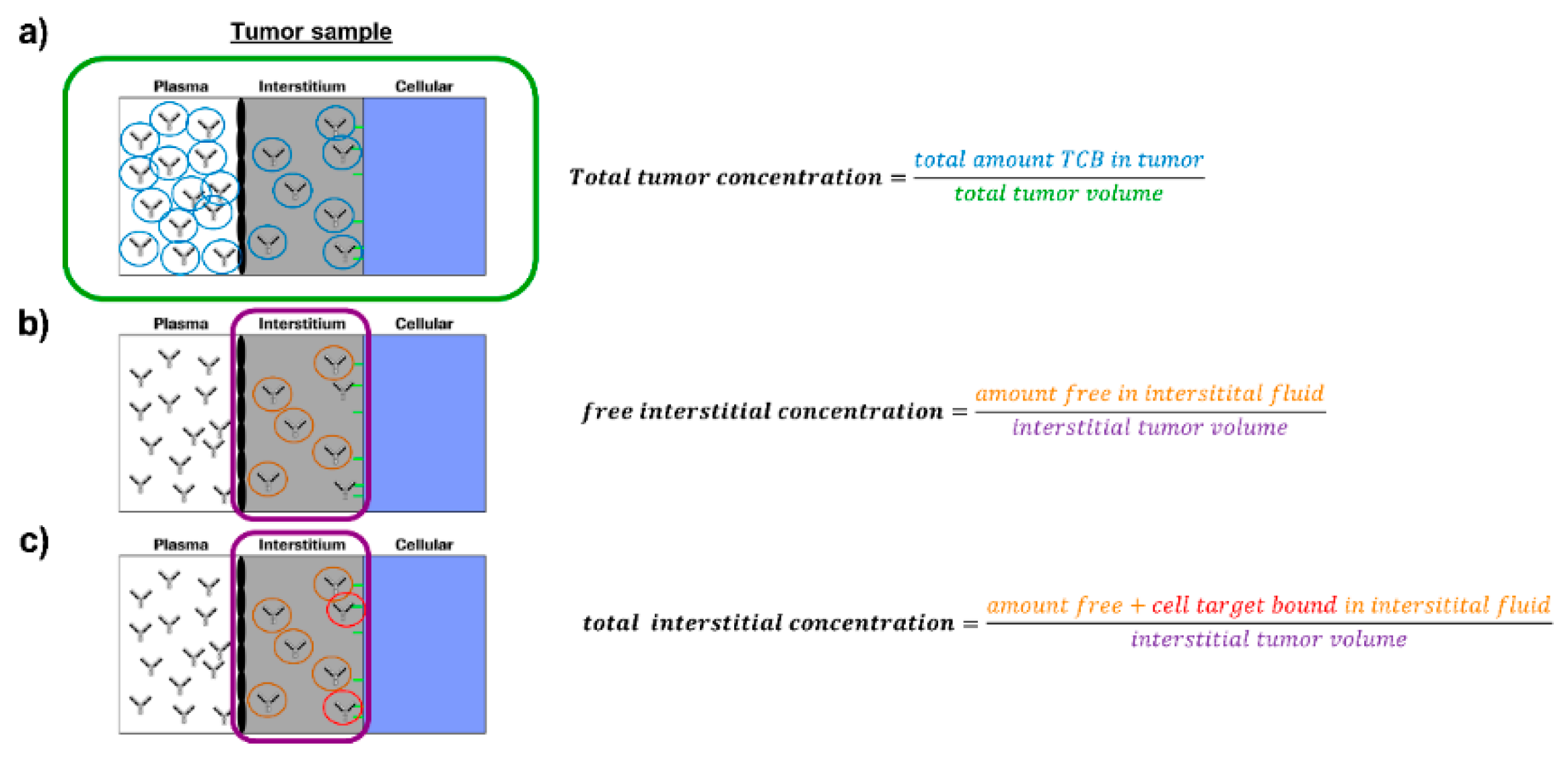 Pharmaceutics 13 02105 g001 550