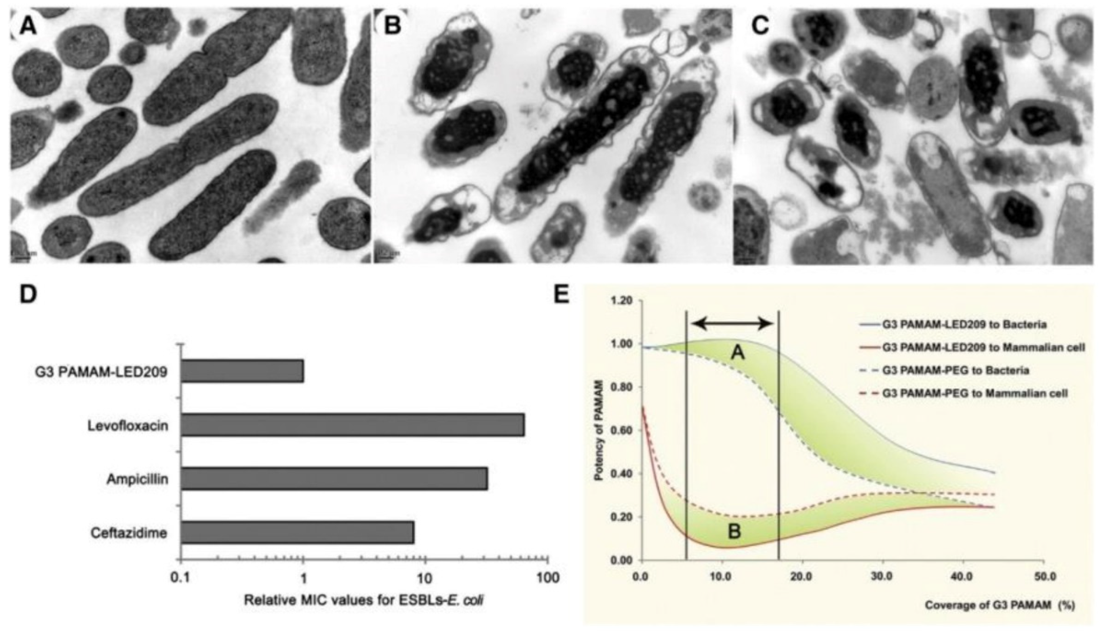 Pharmaceutics 13 02108 g005