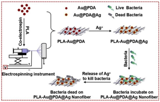 Polymeric Nanomaterials for Efficient Delivery of Antimicrobial Agents