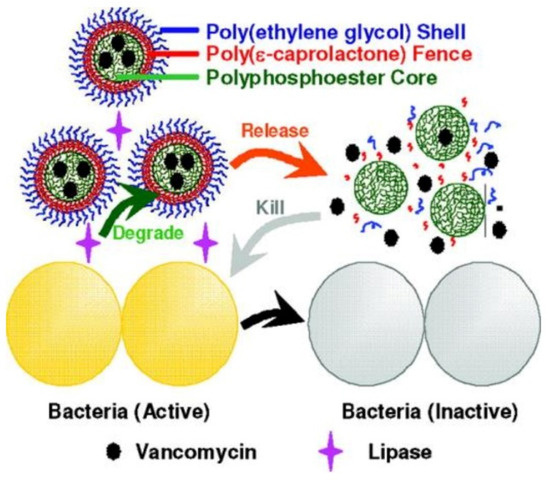 Polymeric Nanomaterials for Efficient Delivery of Antimicrobial Agents