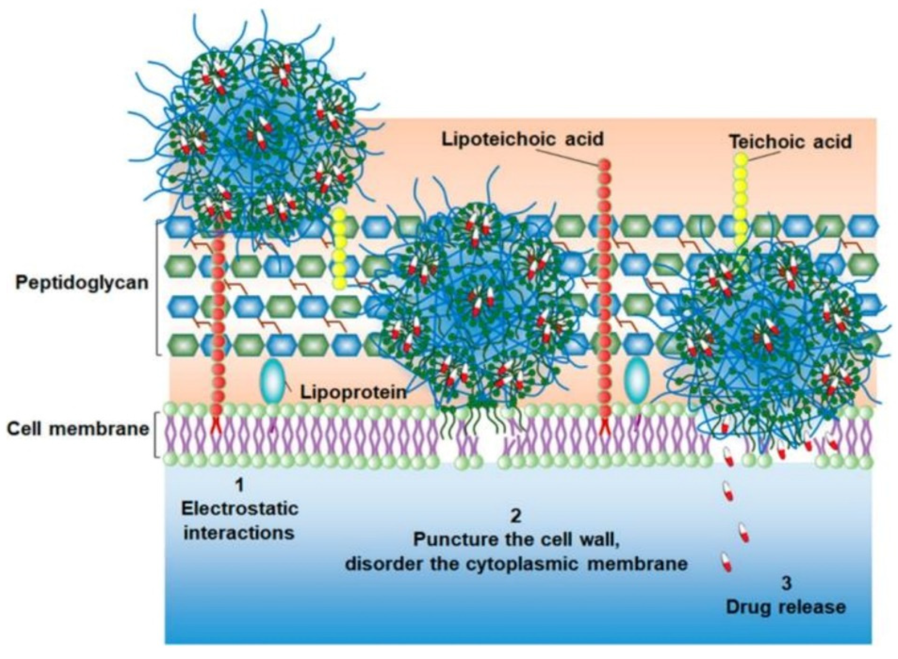 Pharmaceutics 13 02108 g008