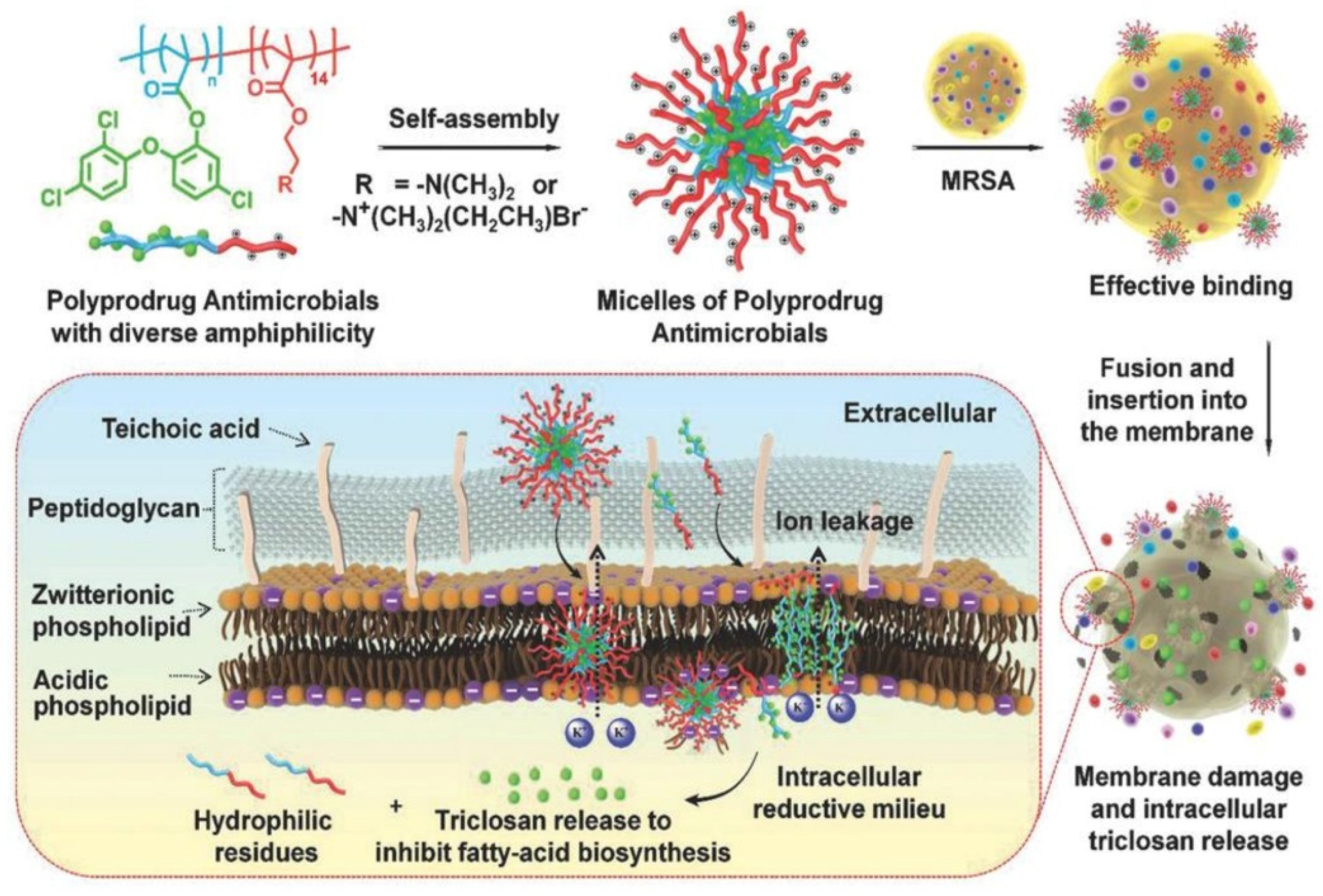 Pharmaceutics 13 02108 g009
