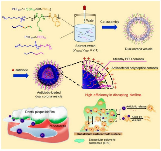 Polymeric Nanomaterials for Efficient Delivery of Antimicrobial Agents
