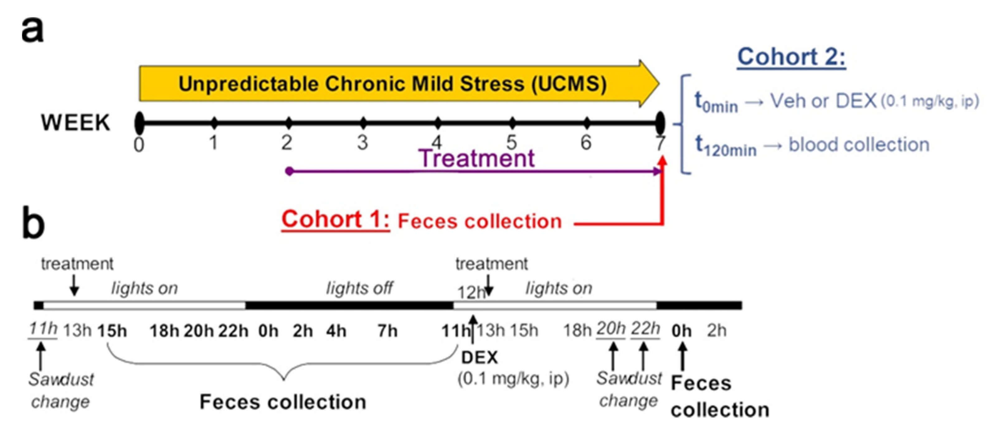 Pharmaceutics 13 02114 g001