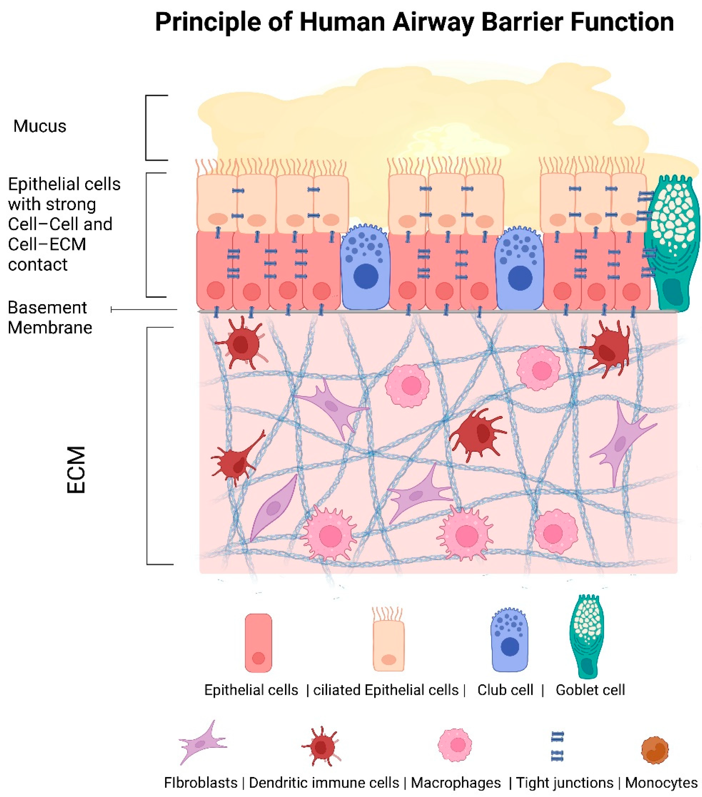 Pharmaceutics 13 02115 g001