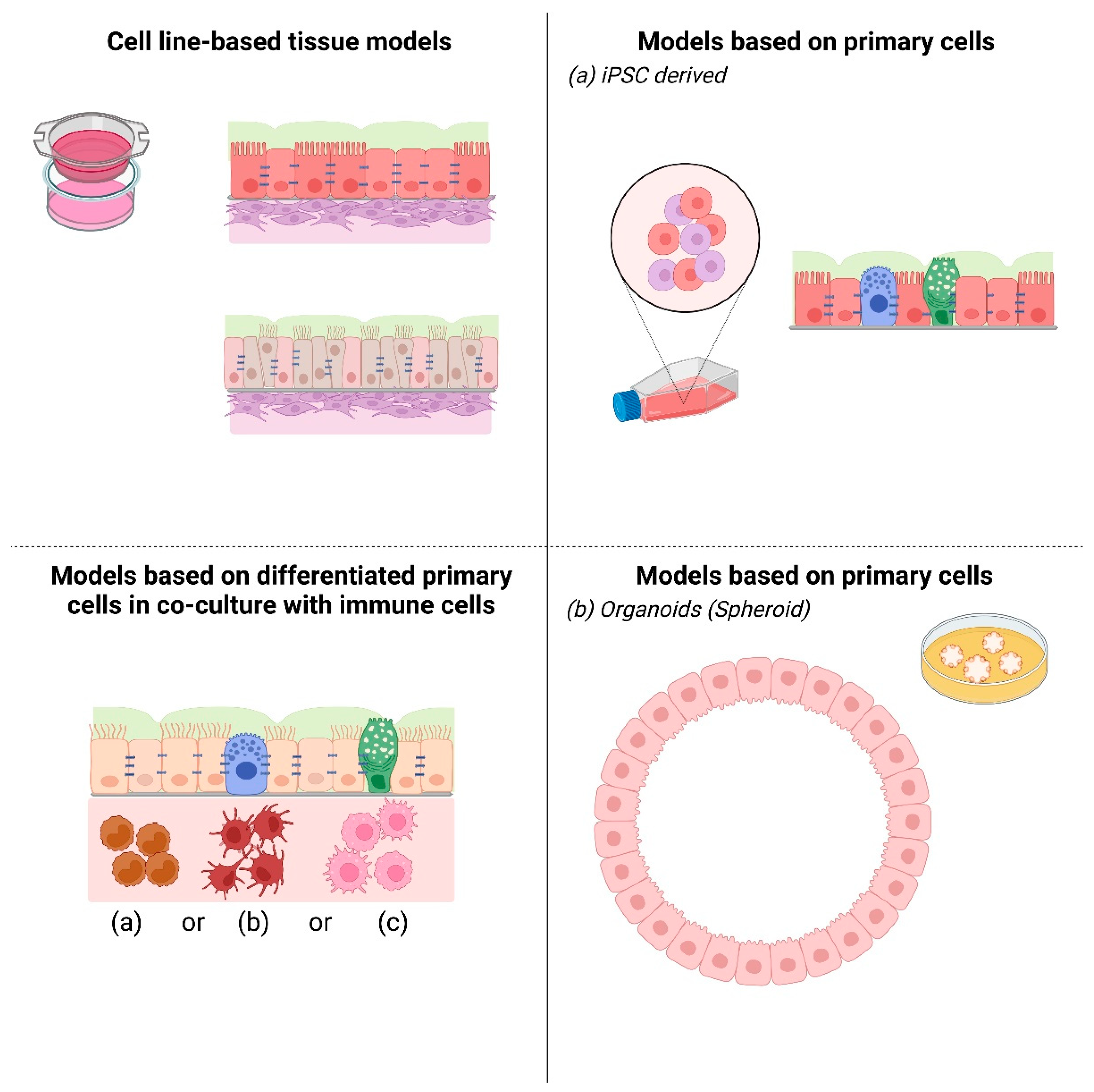 Pharmaceutics 13 02115 g002