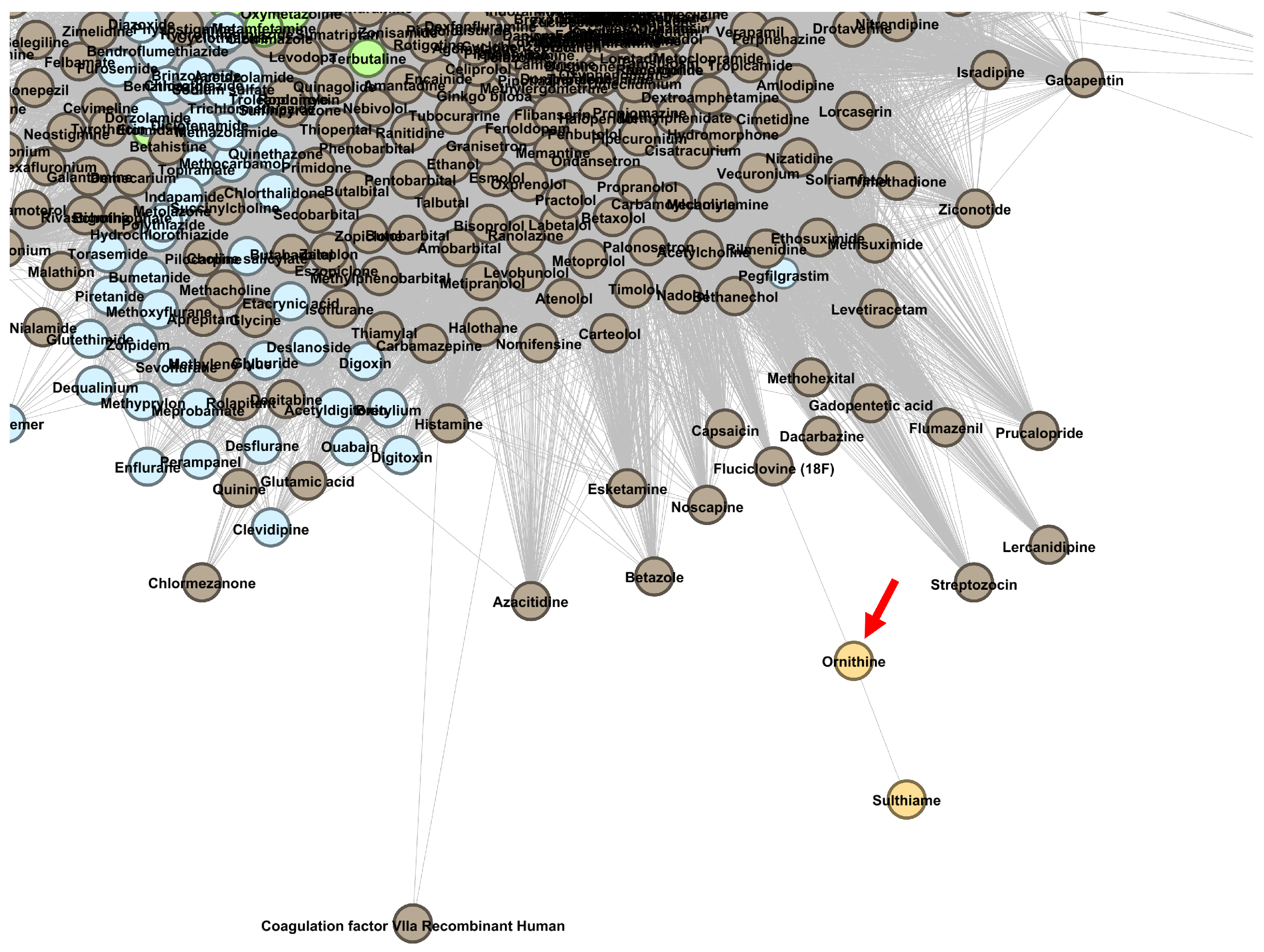Pharmaceutics 13 02117 g010 Pharmaceutics 13 02117 g010