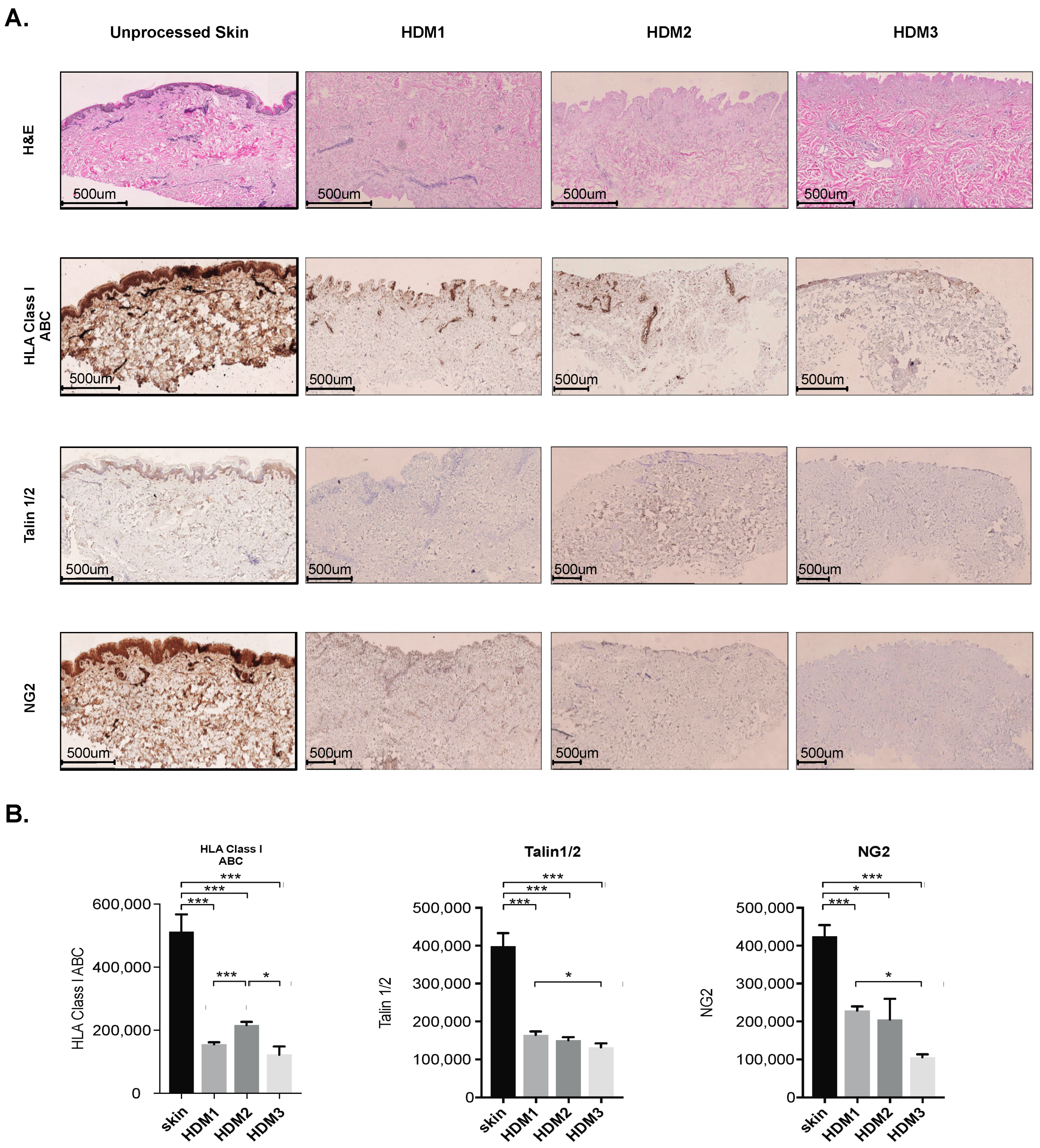 Pharmaceutics 13 02118 g001