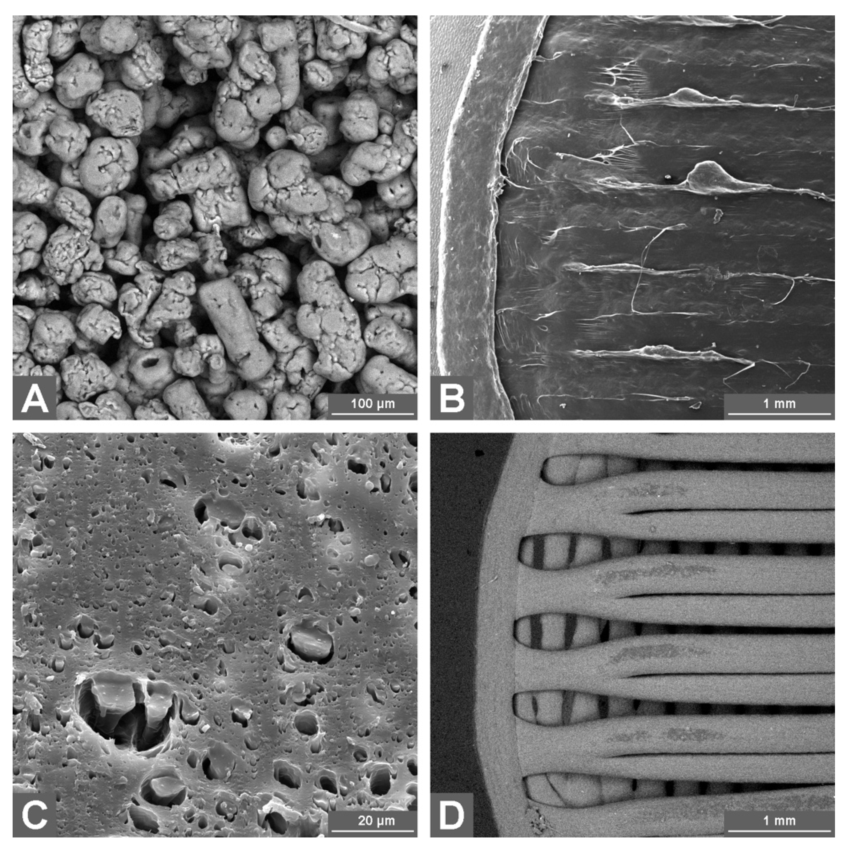 Pharmaceutics 13 02123 g004