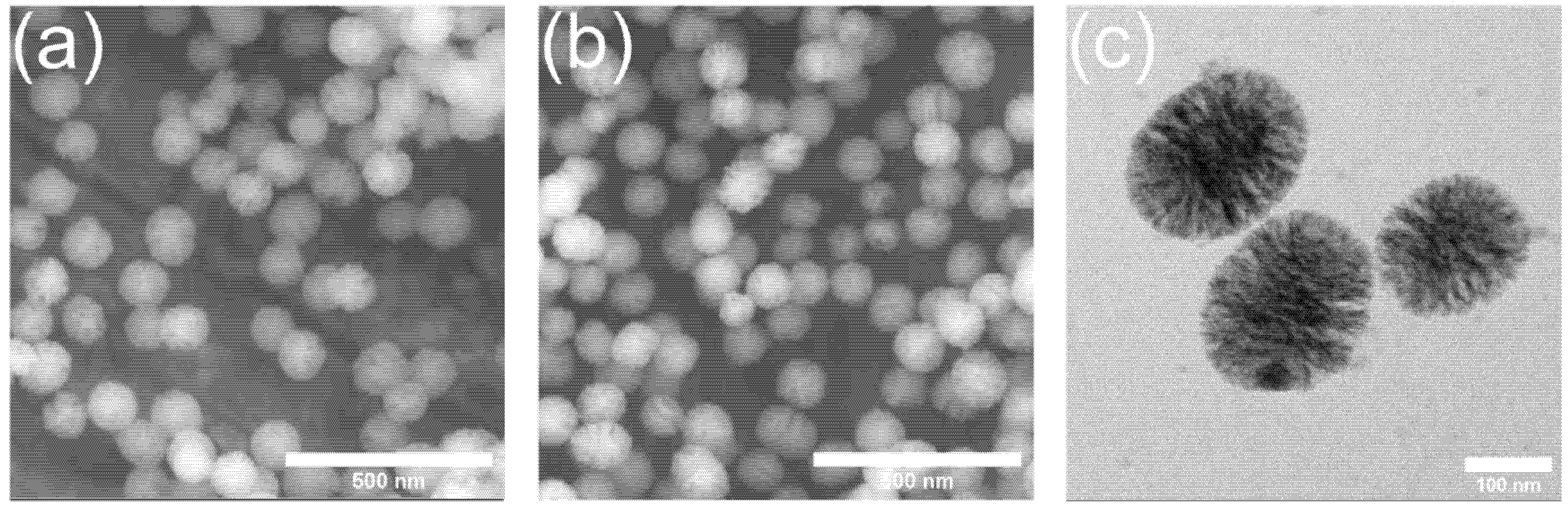 Pharmaceutics 13 02124 g001