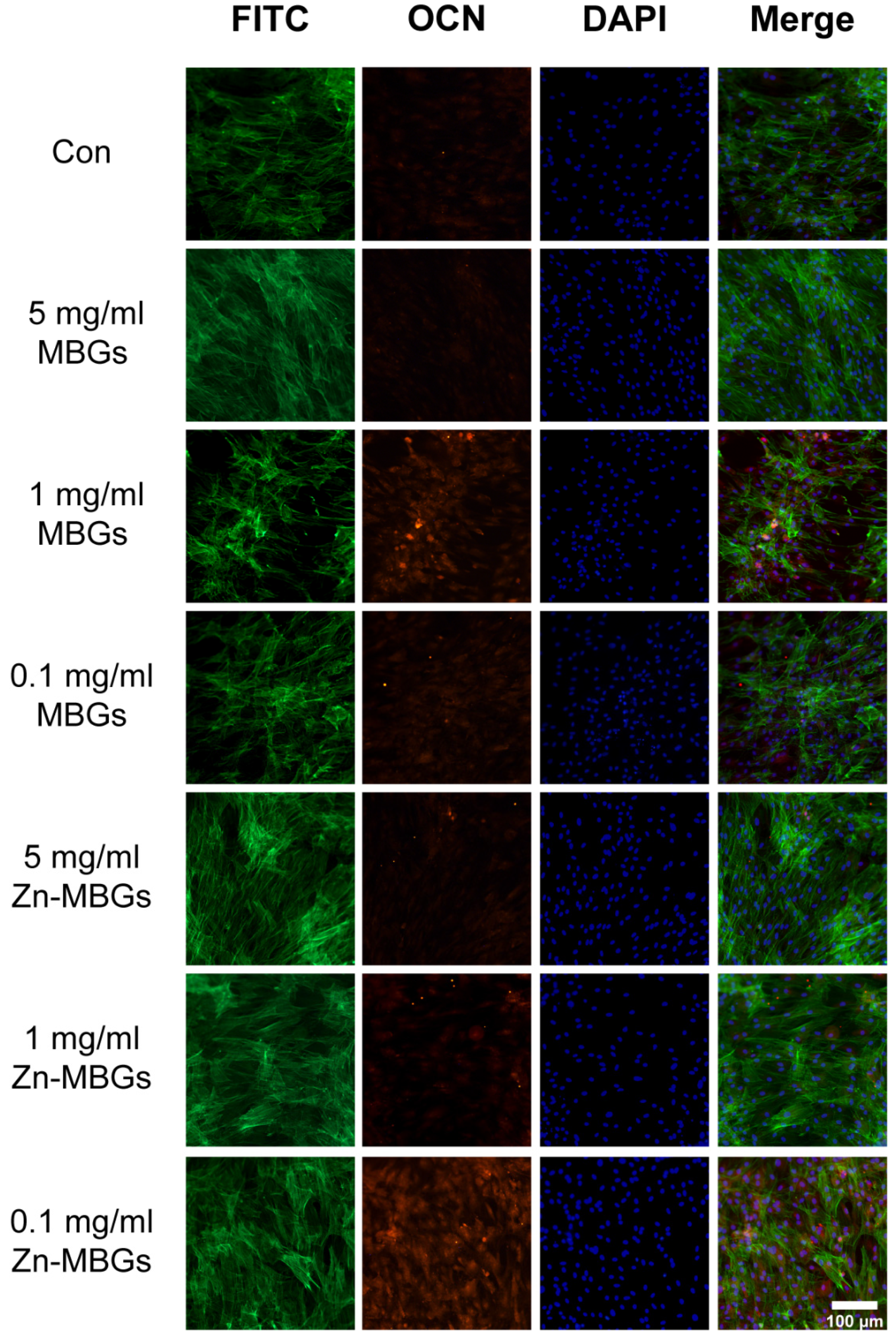 Pharmaceutics 13 02124 g008