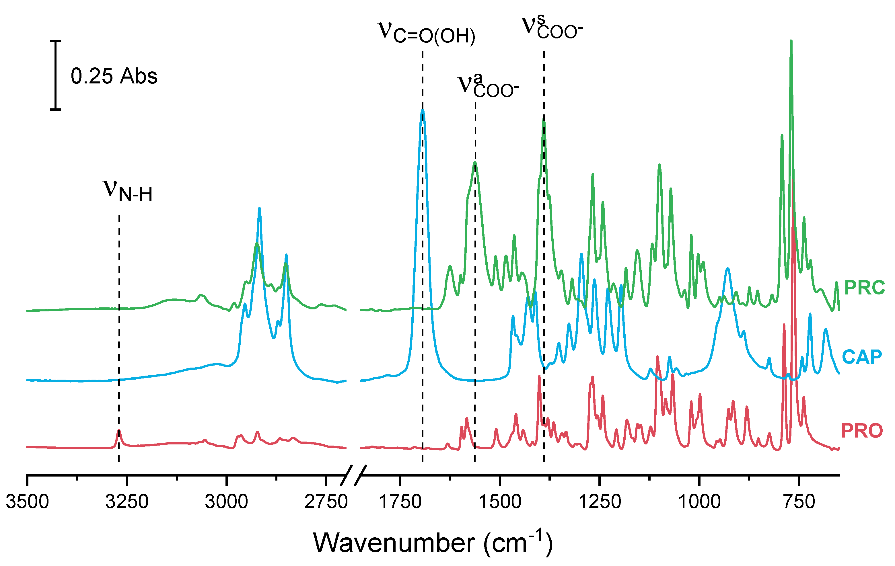 Pharmaceutics 13 02125 g003