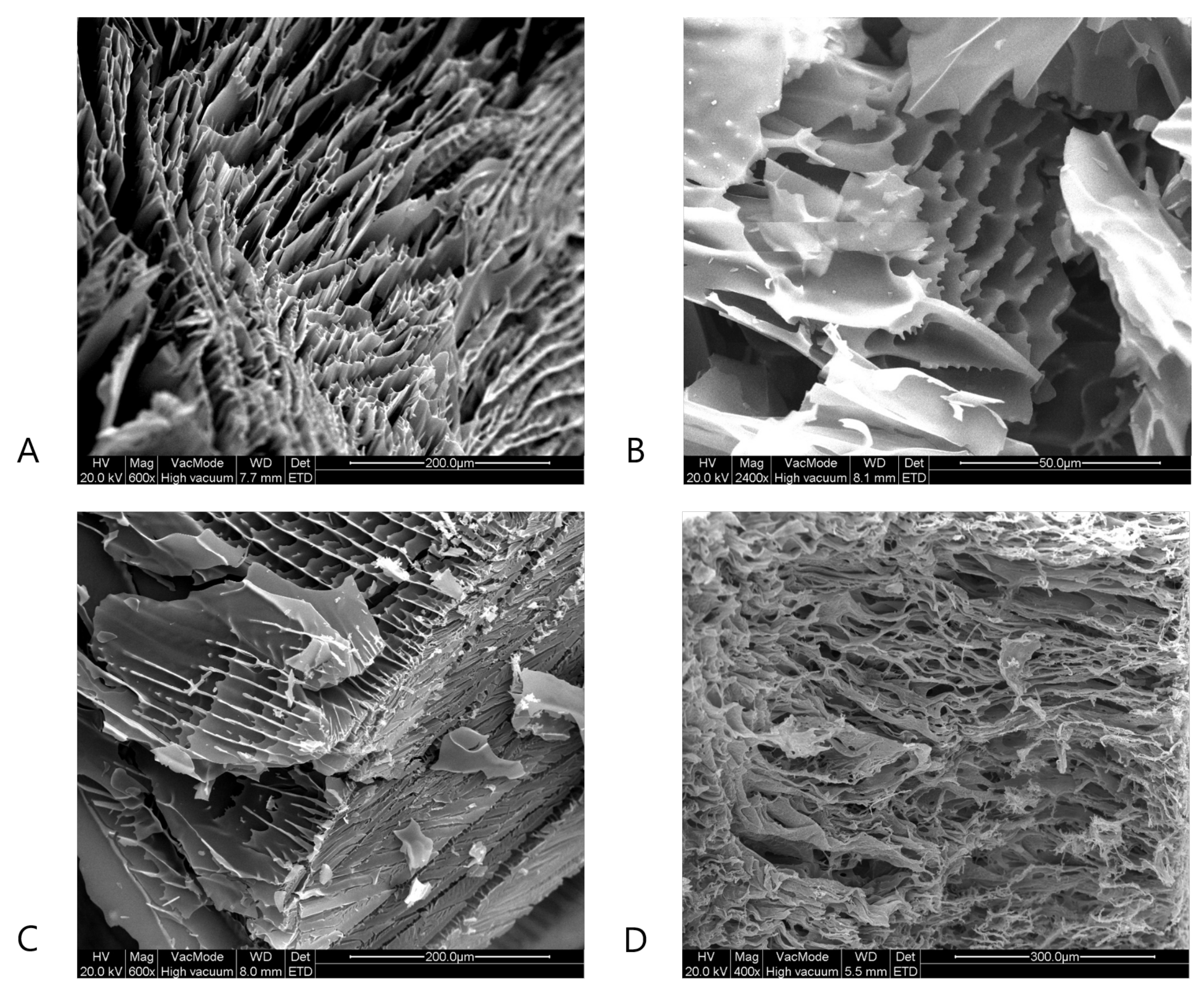 Pharmaceutics 13 02126 g005 Pharmaceutics 13 02126 g005