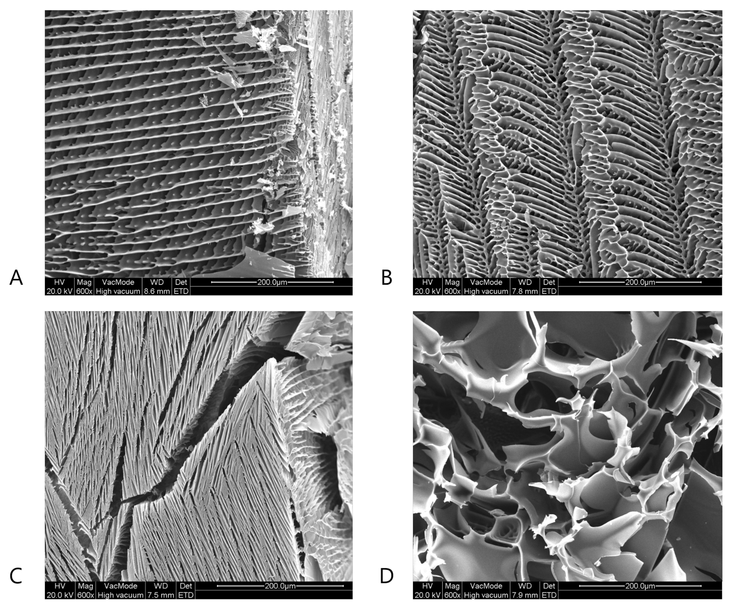 Pharmaceutics 13 02126 g006 Pharmaceutics 13 02126 g006