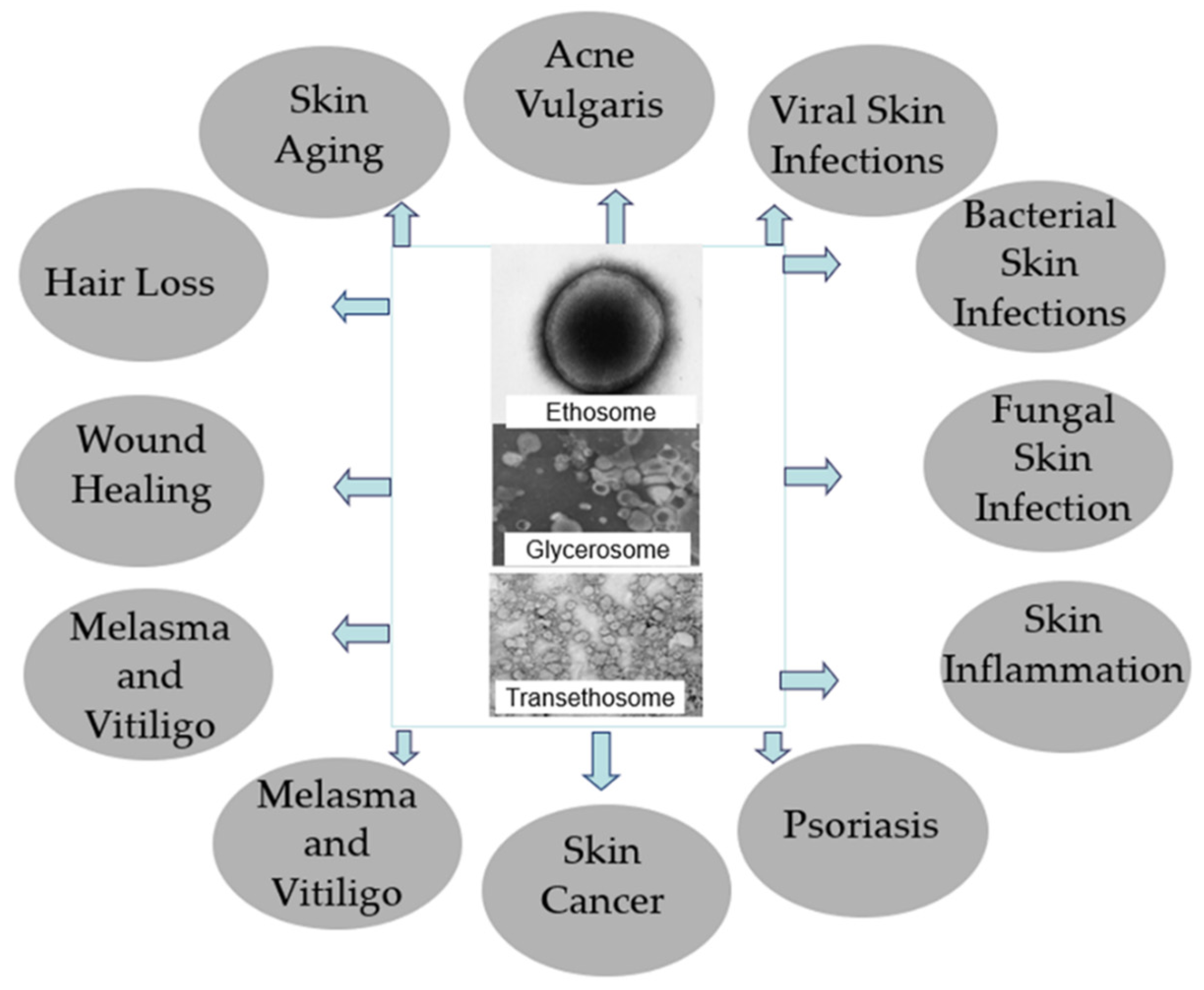 Pharmaceutics 13 02129 g002 550
