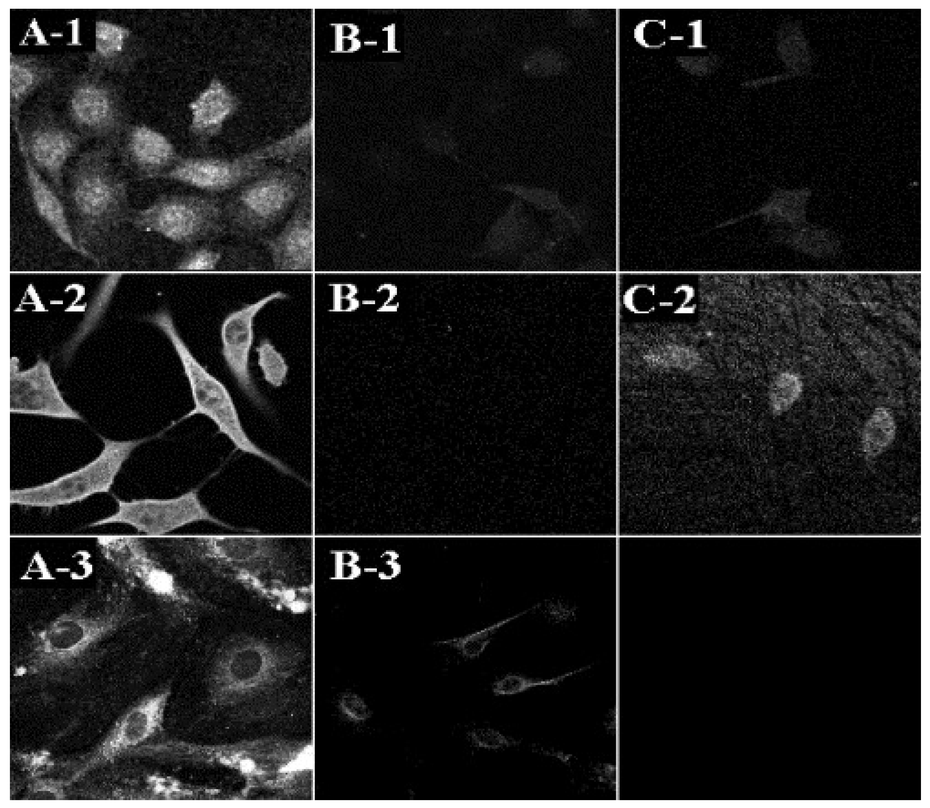 Pharmaceutics 13 02129 g005 550