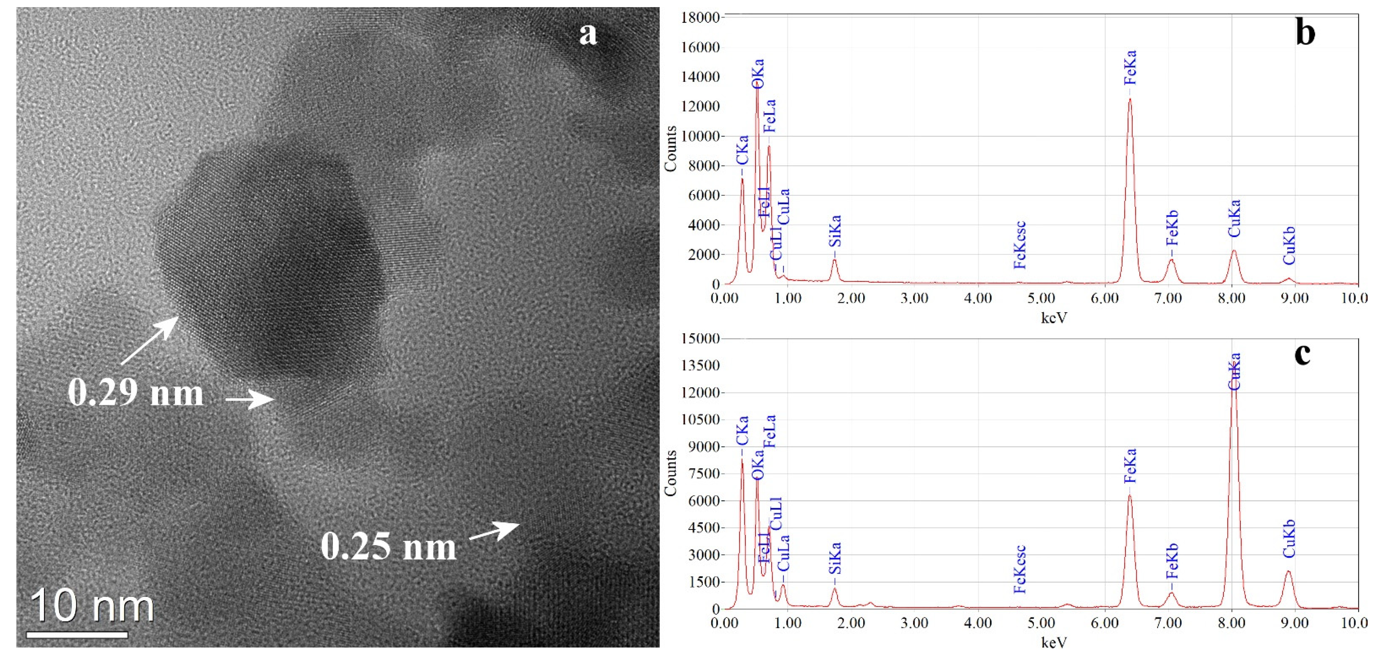 Pharmaceutics 13 02130 g005