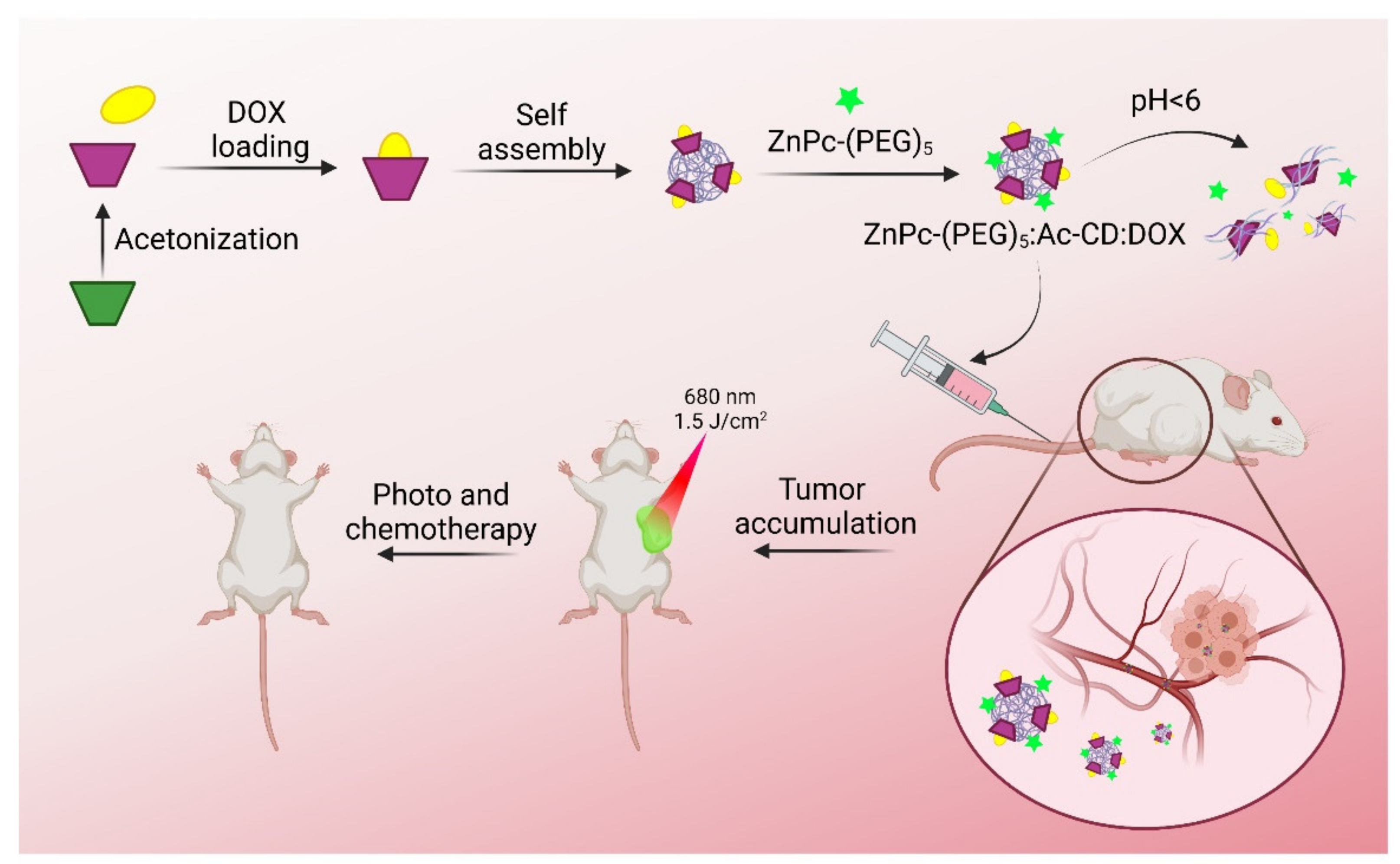 Pharmaceutics 13 02131 g003