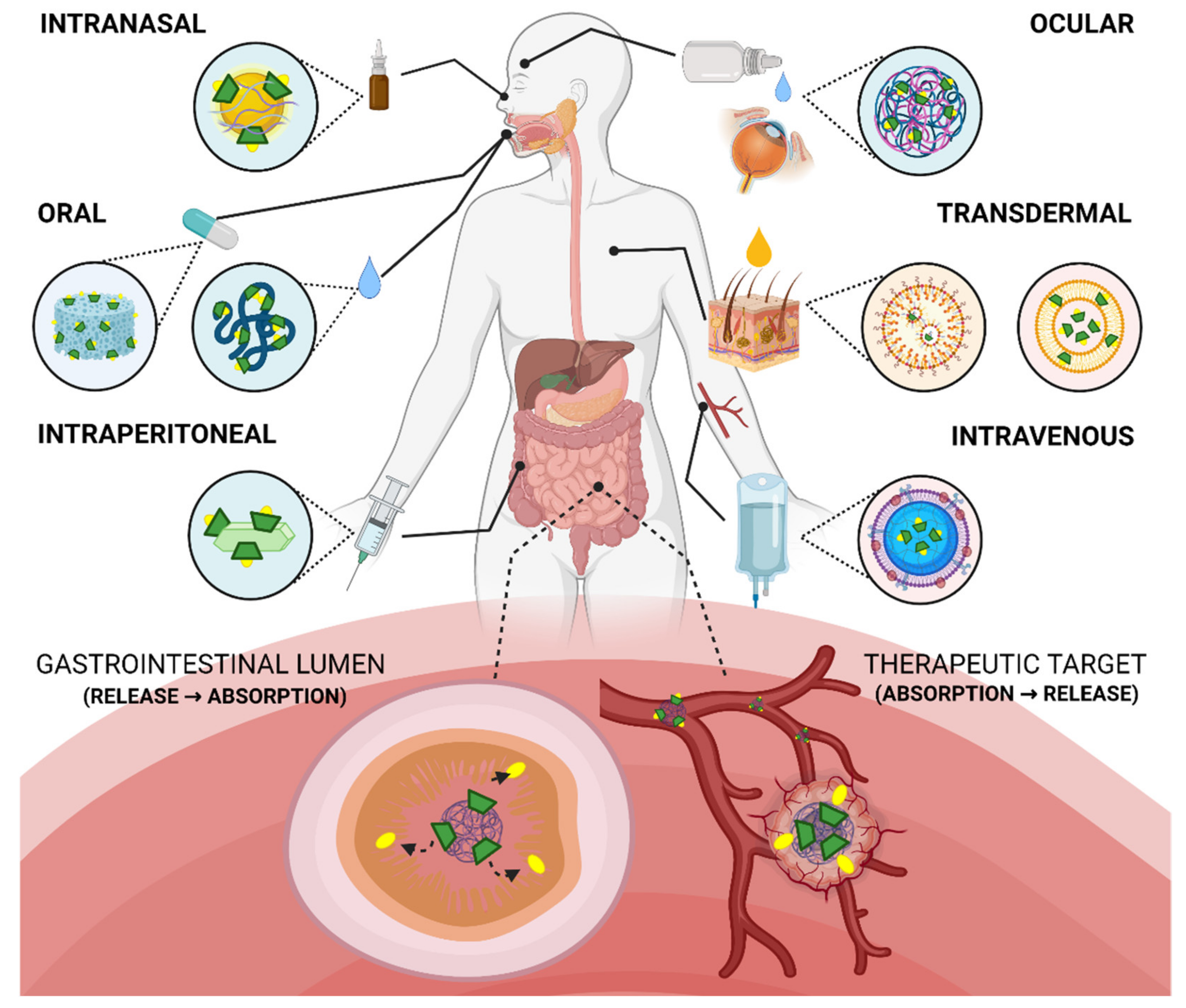 Cyclodextrin-Modified Nanomaterials for Drug Delivery