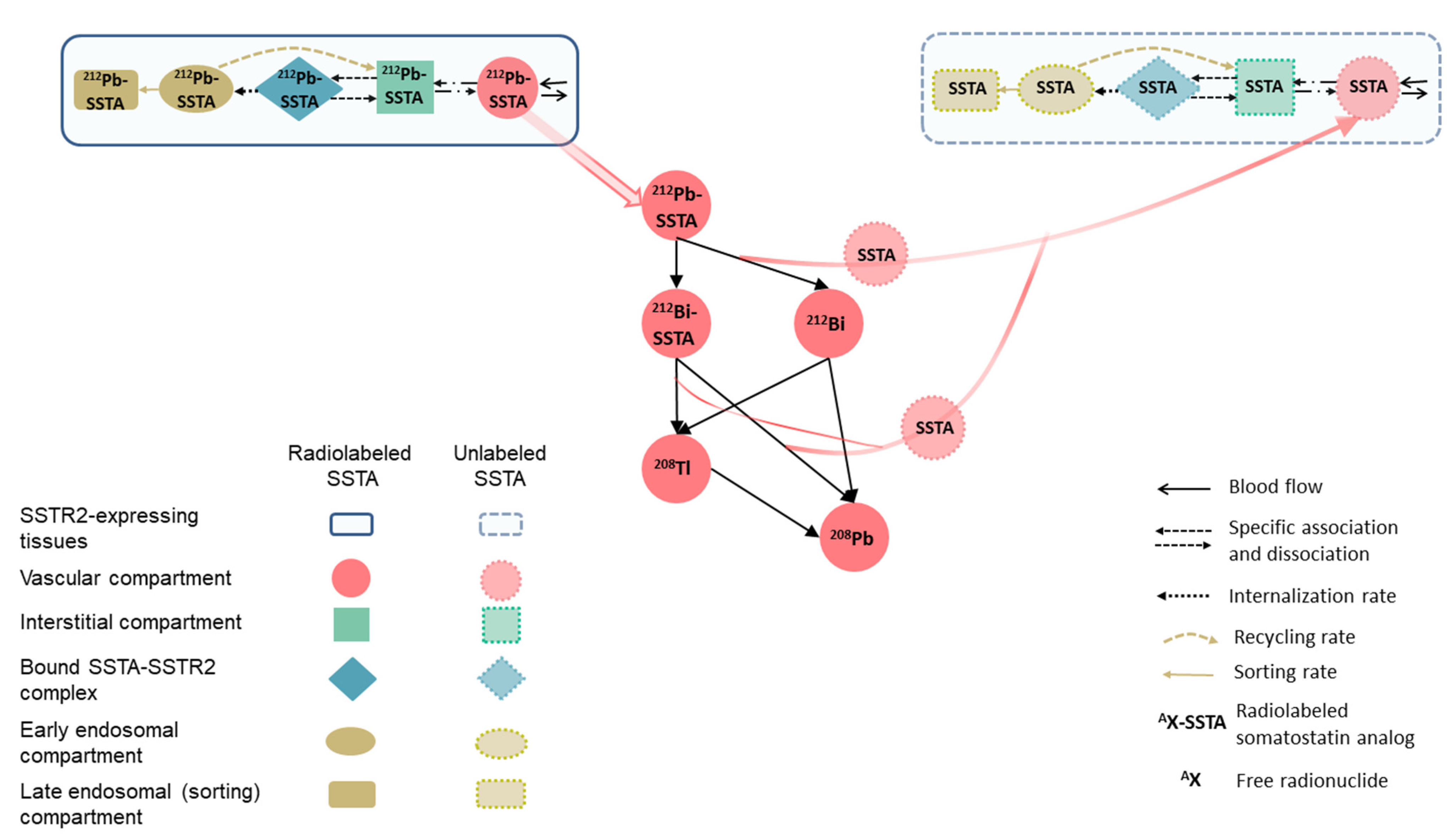 Pharmaceutics 13 02132 g002 550