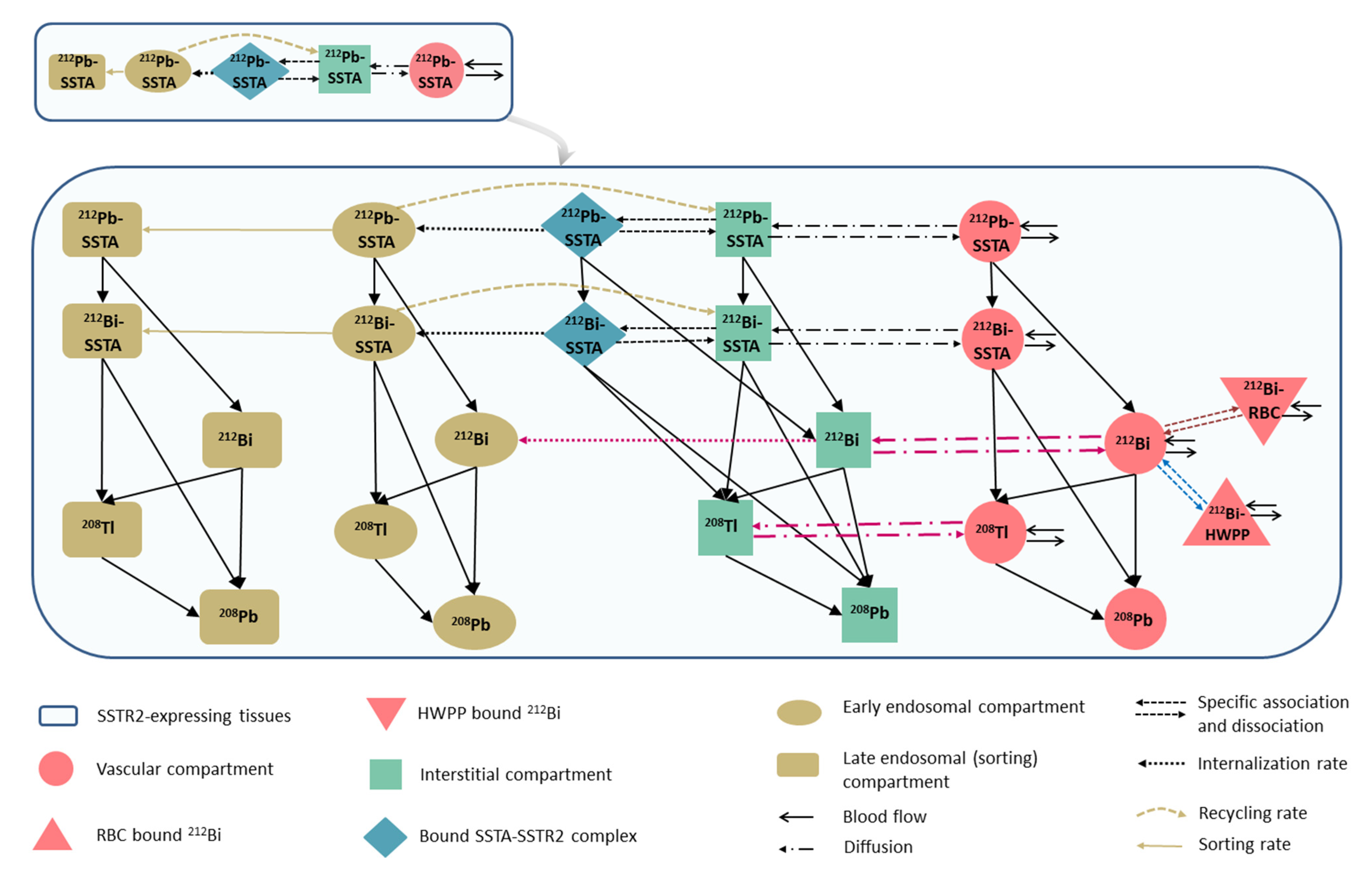 Pharmaceutics 13 02132 g003 550