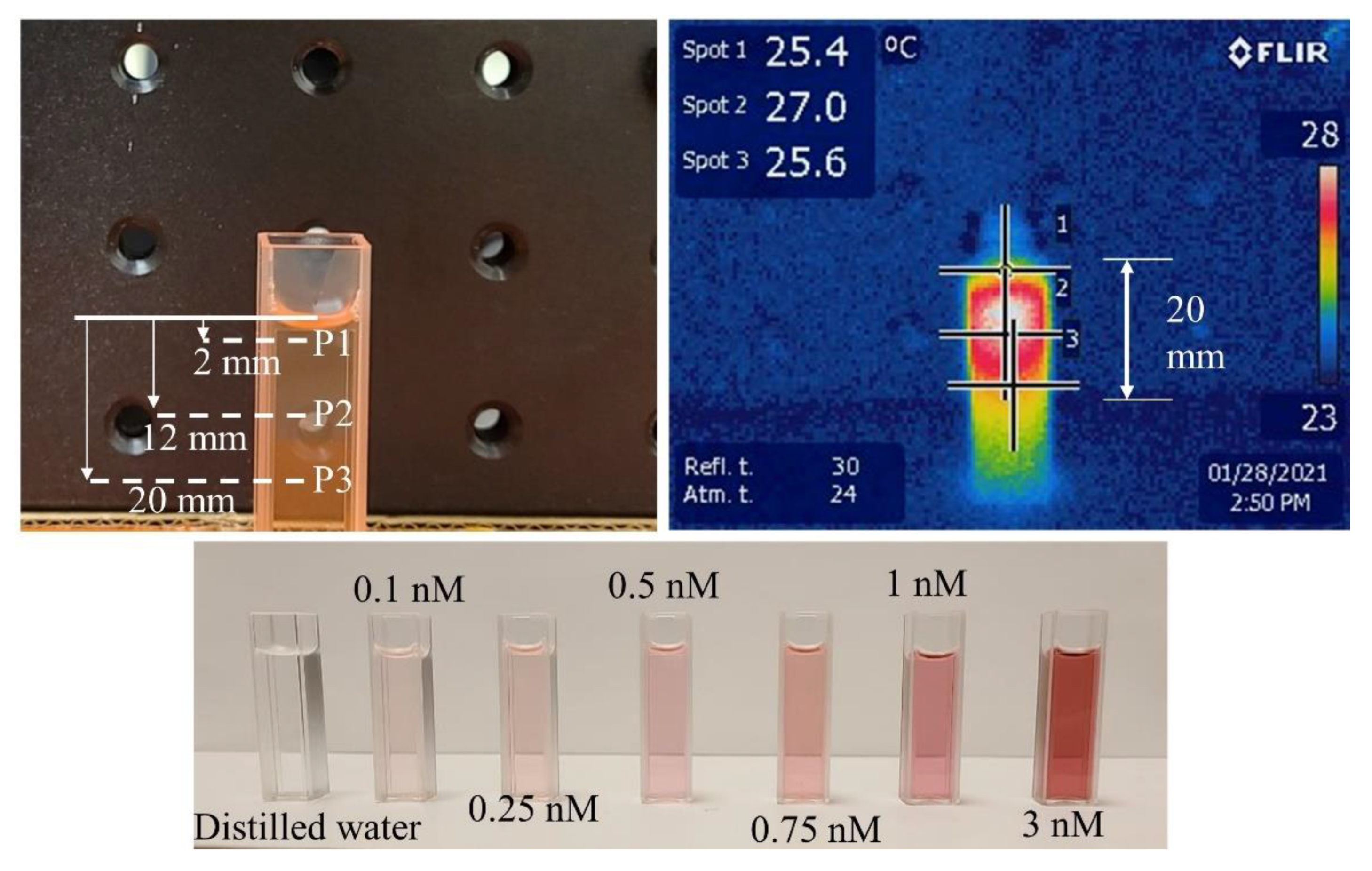 Pharmaceutics 13 02133 g001