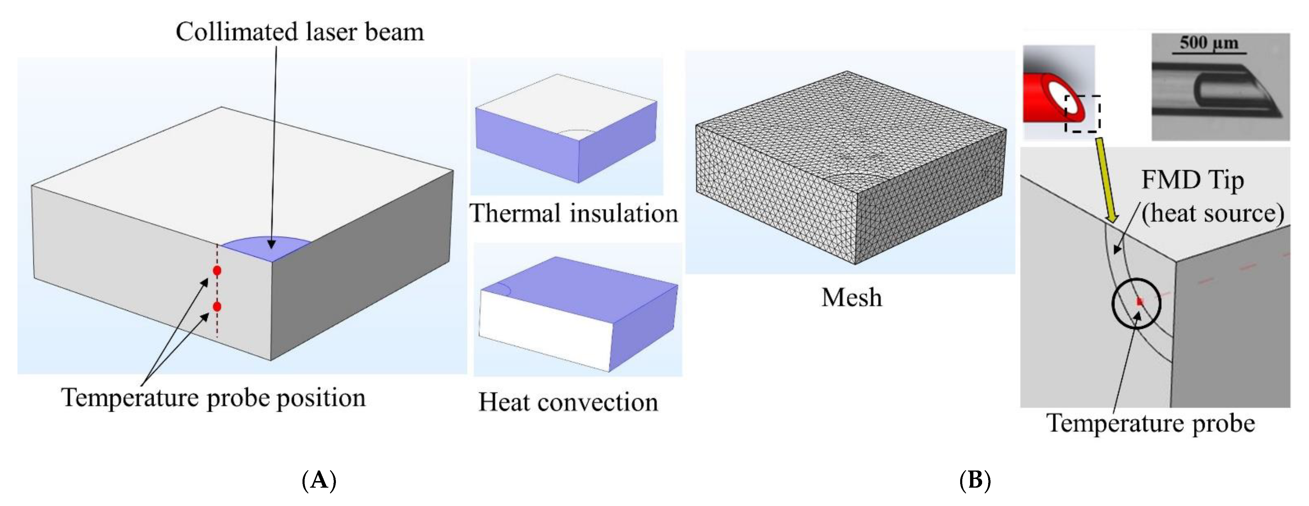 Pharmaceutics 13 02133 g004