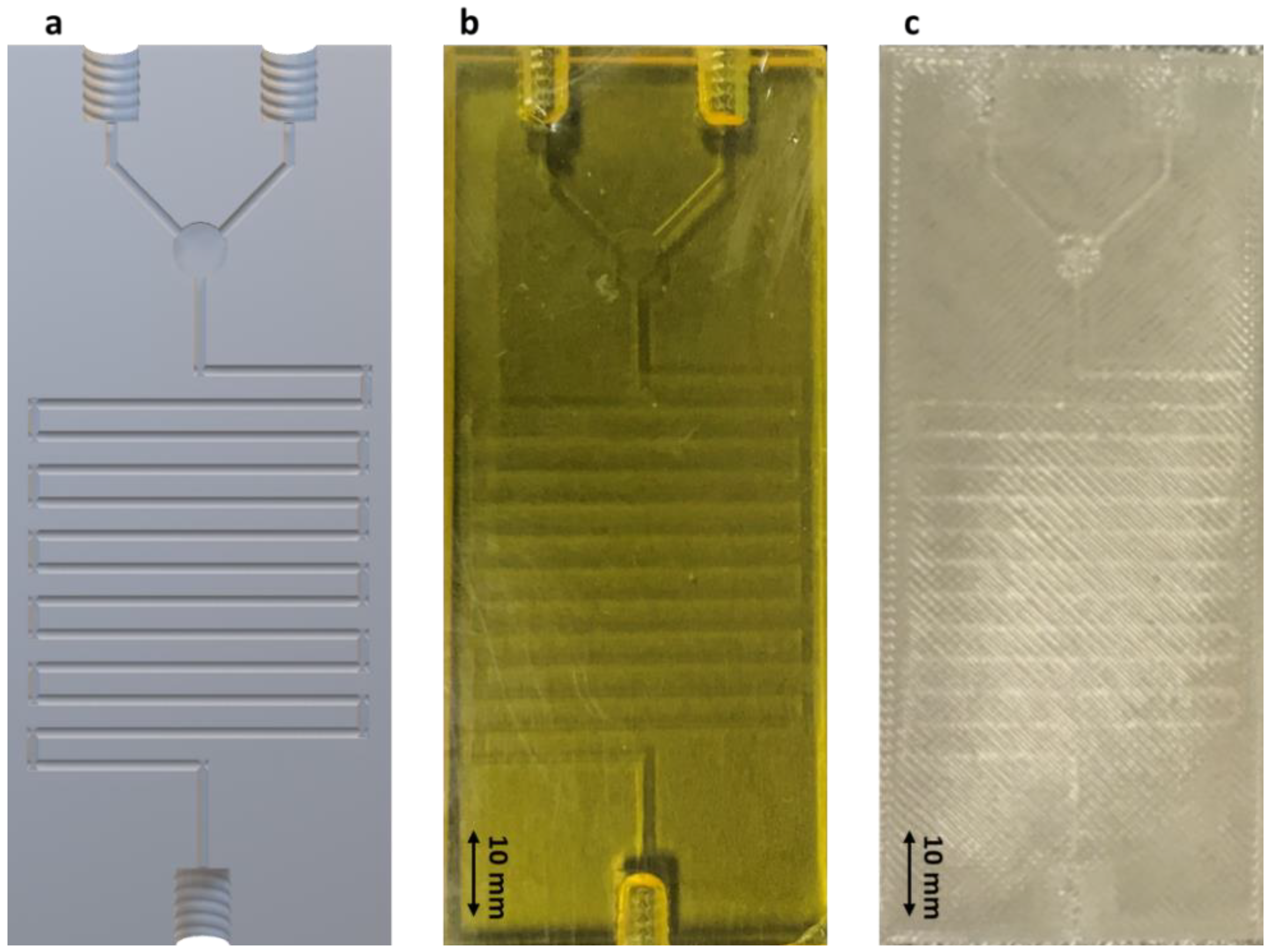 Pharmaceutics 13 02134 g002 550