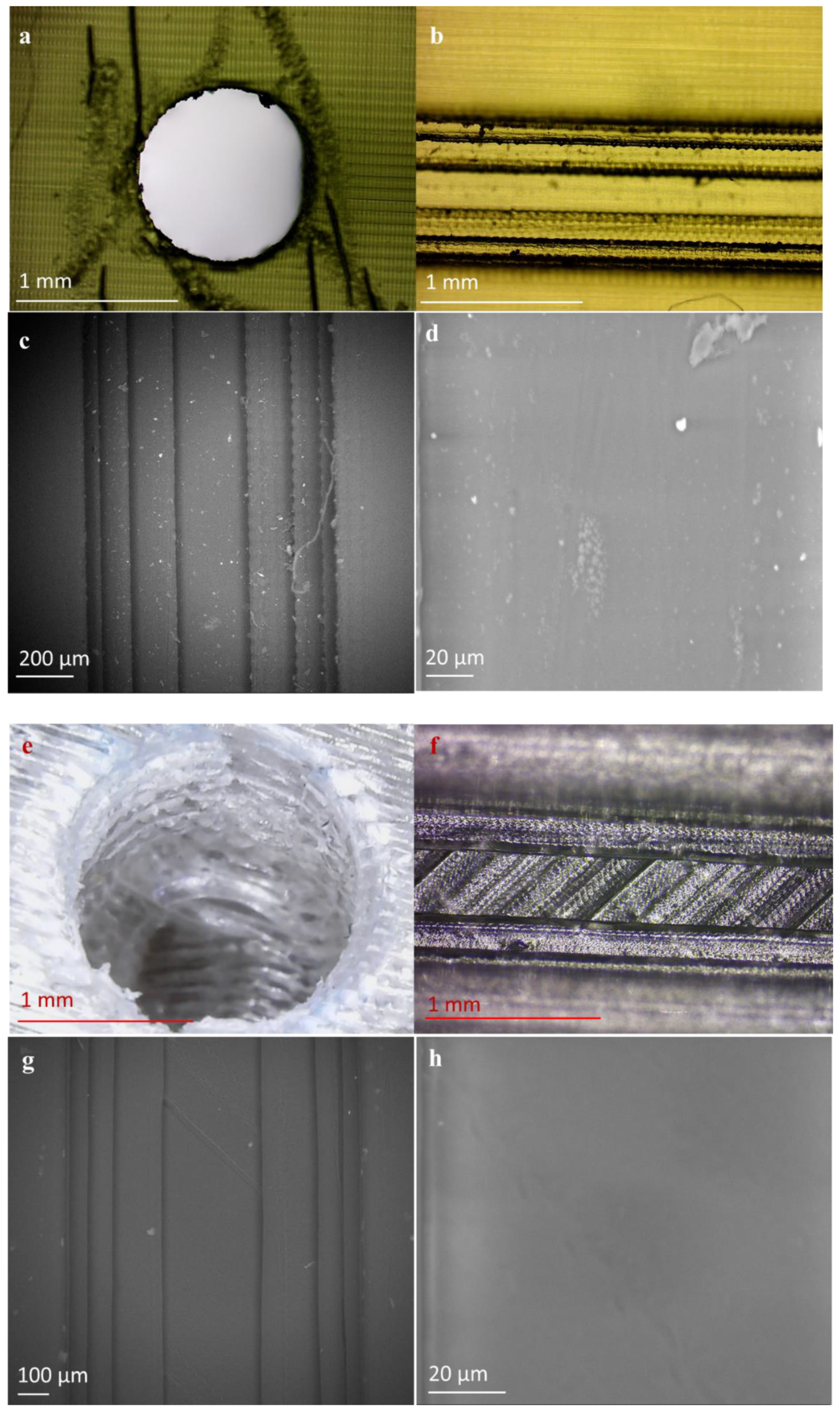 Pharmaceutics 13 02134 g003 550